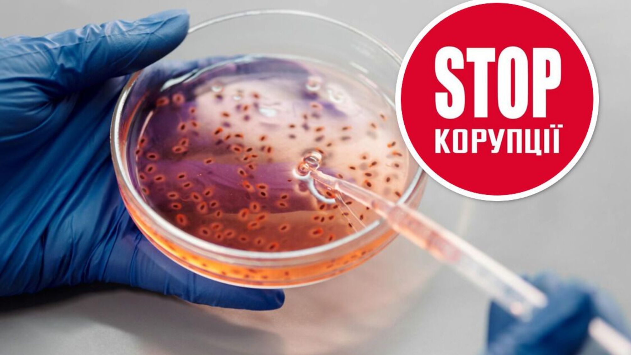 Почему репродуктивная клиника в Украине стала объектом расследования