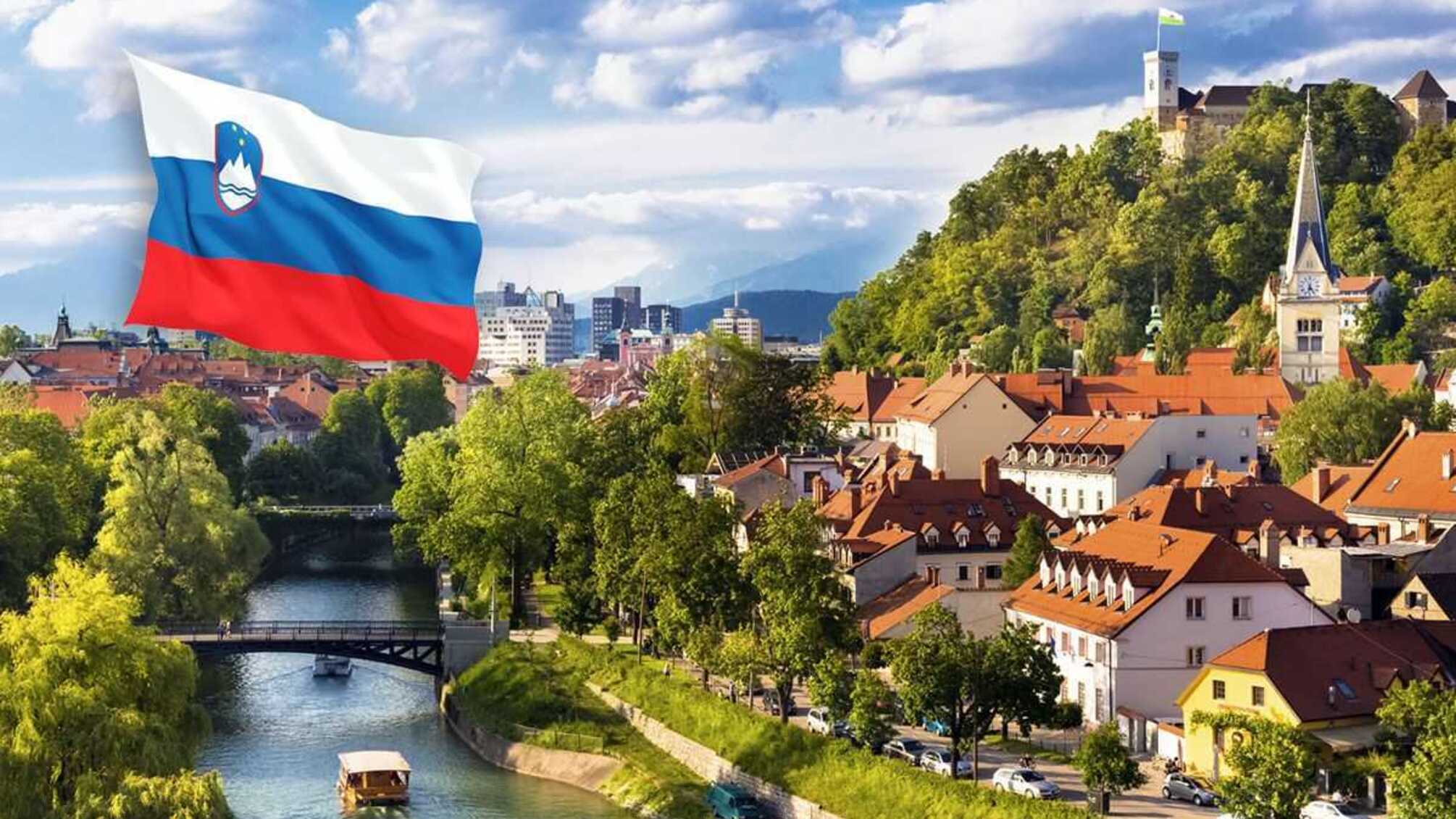 Словения выделяет 500 тысяч евро в поддержку энергетического сектора Украины