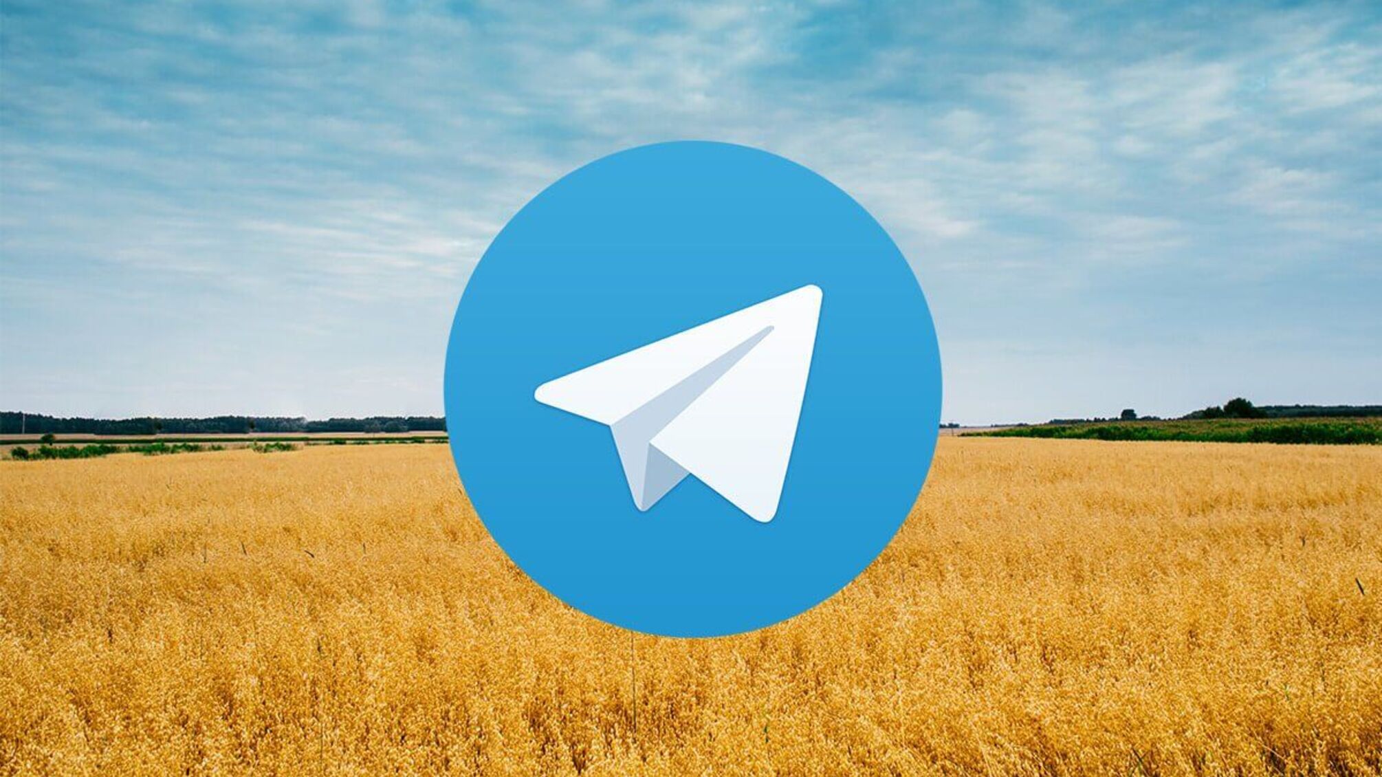 Нові правила для телеграм-каналів в Україні: що пропонує Верховна Рада