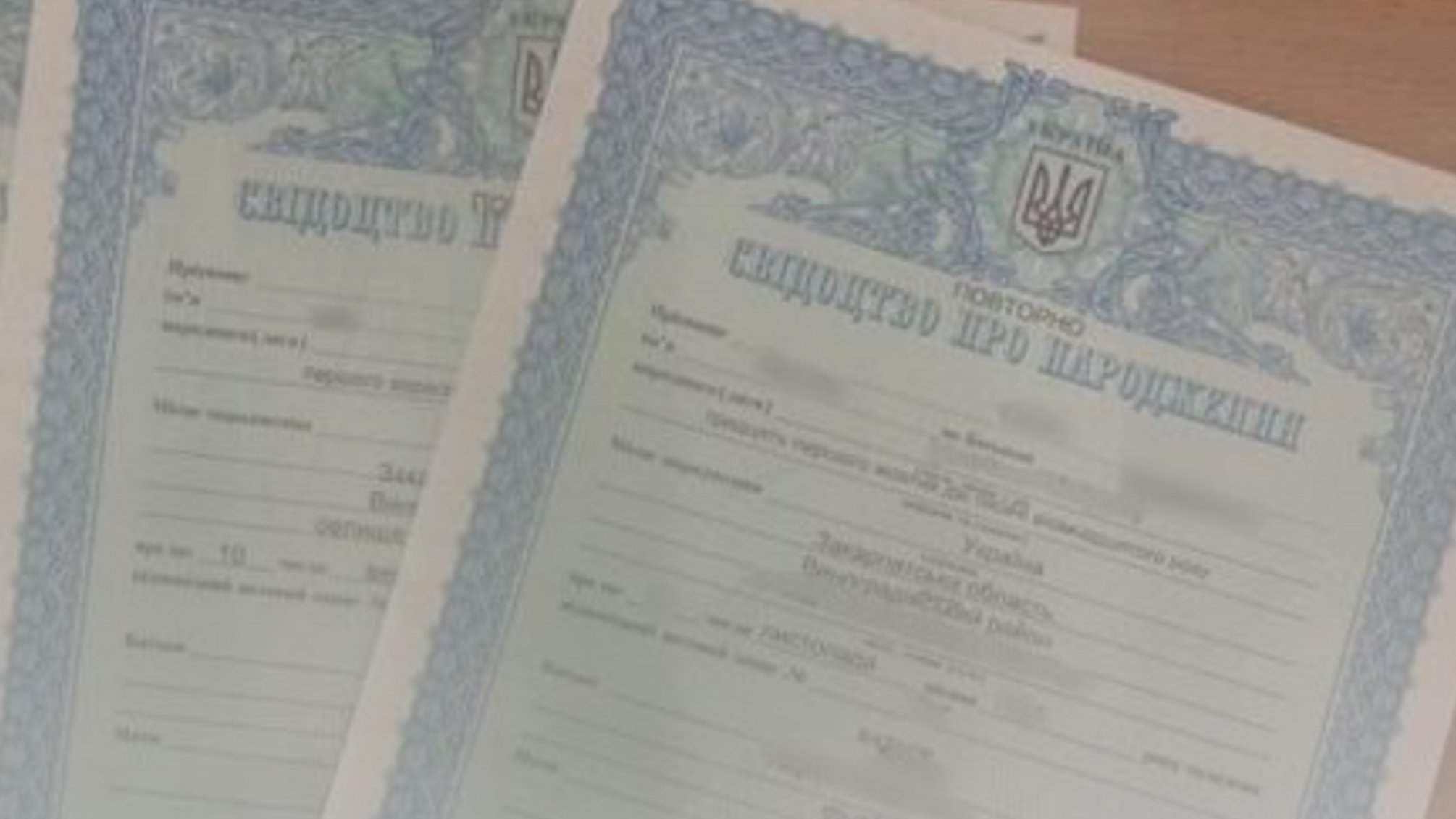 Волинянин продавав статус 'багатодітного батька' для виїзду за кордон