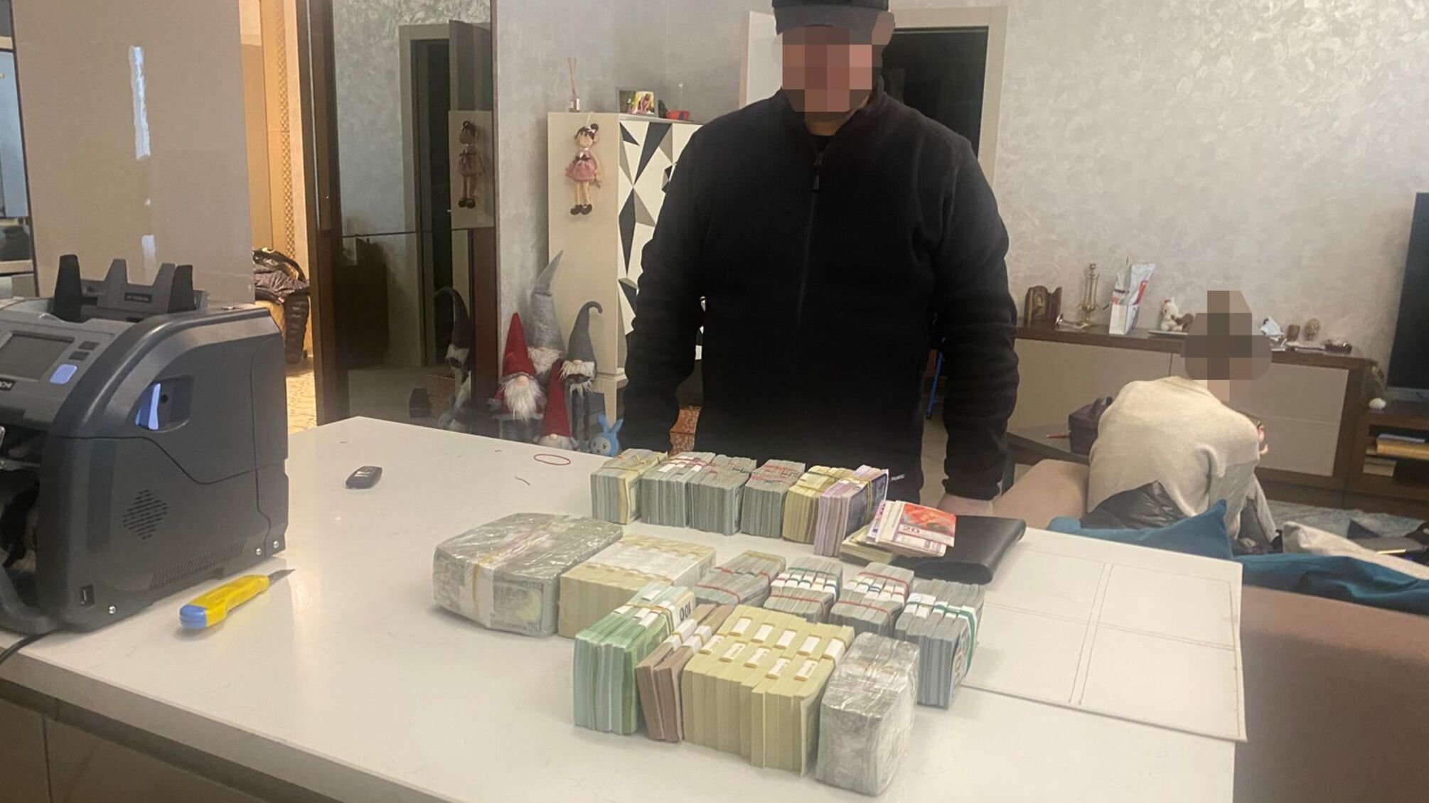 880 тисяч доларів і 202 тисячі євро передали АРМА: ДБР викрило незаконне збагачення екоінспекторки