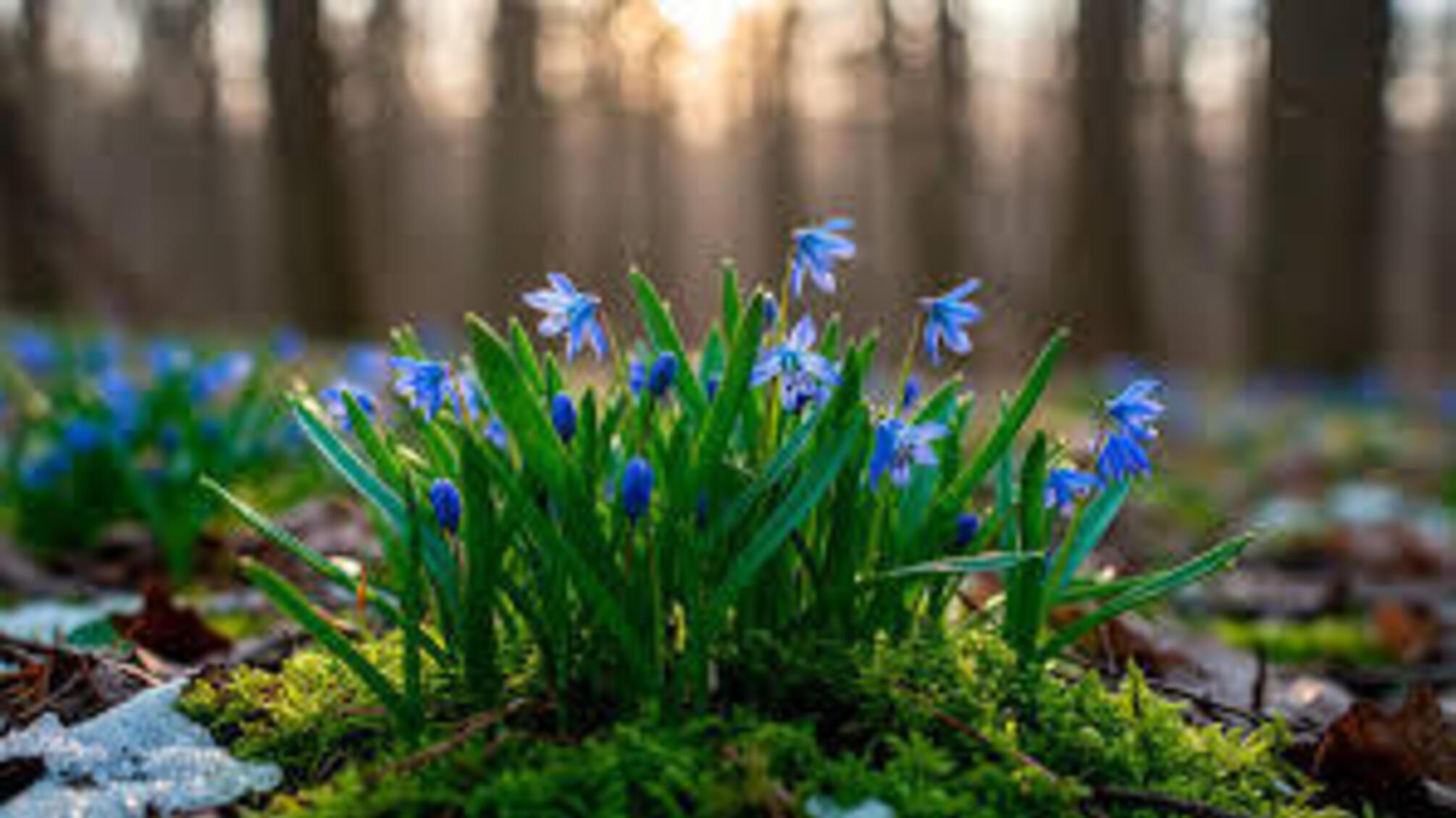 Мокрий сніг чи весняне тепло: яку погоду очікувати в Україні сьогодні