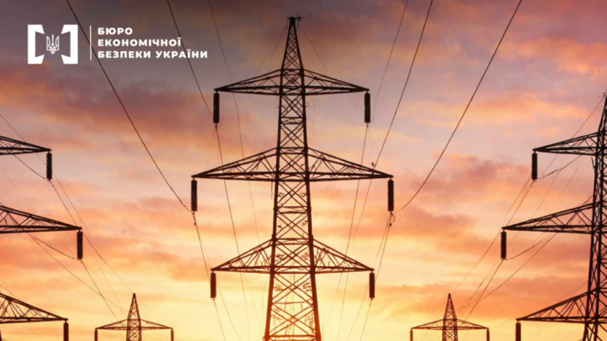 6 млн грн ущерба государству: детали дела о реконструкции электролинии