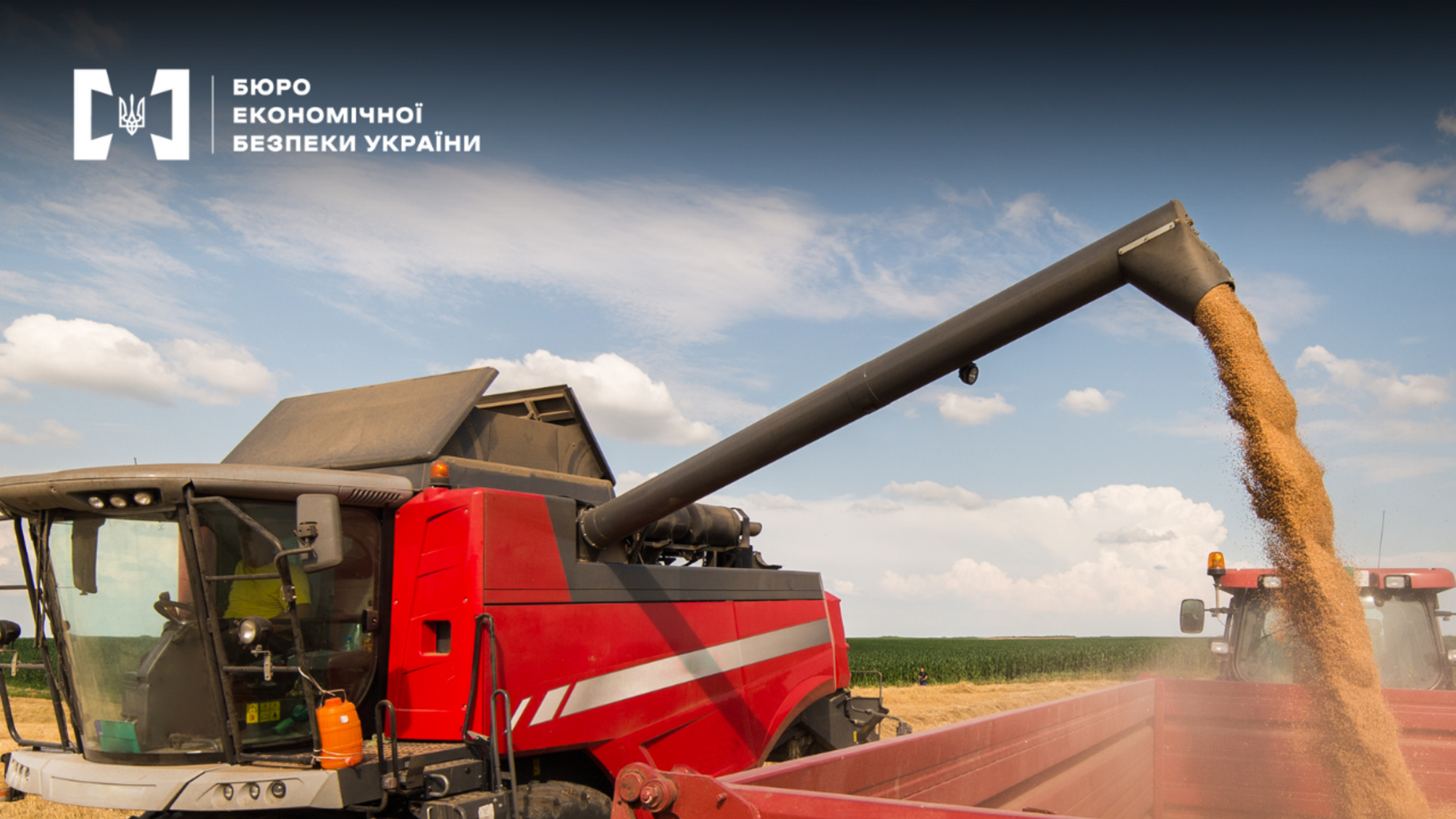 В Одессе будут судить директора агрокомпаний за фиктивную регистрацию бизнеса