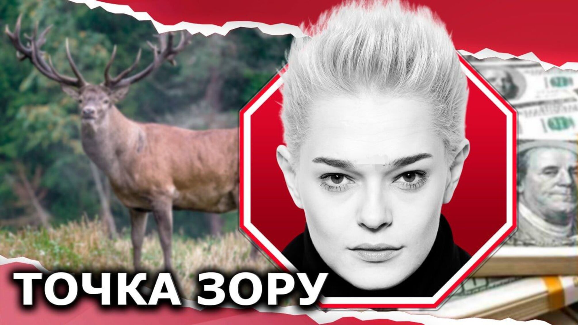Олень Борис: реальність vs емоції