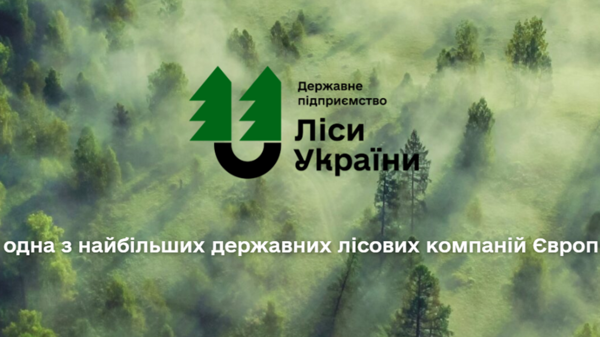 'Іваніна Дмитро: кожного дня діловий дуб пиляють на дрова і вивозять', – чат-бот СтопКору