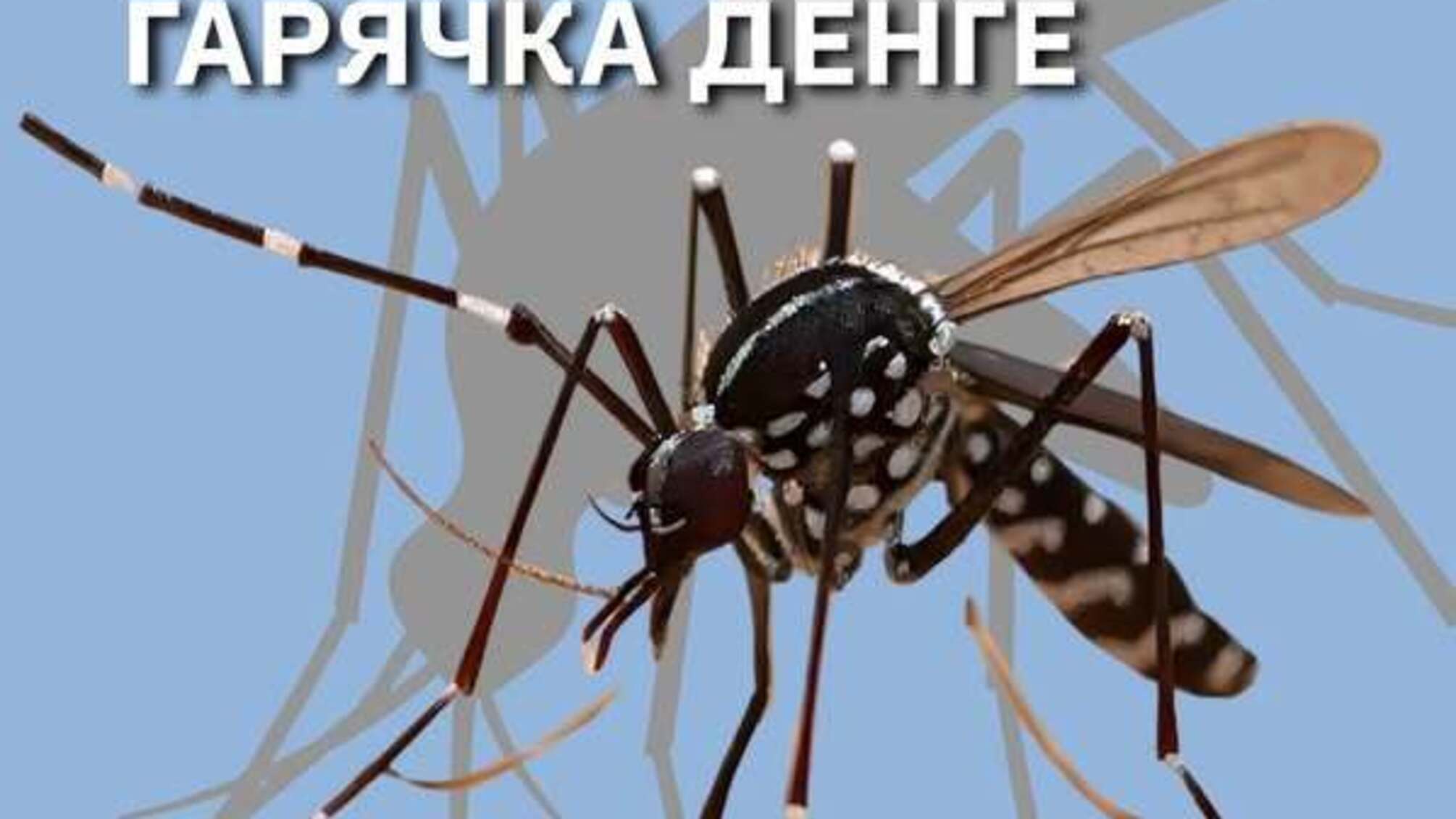 У Львівській області зареєстрували випадок тропічної гарячки Денге