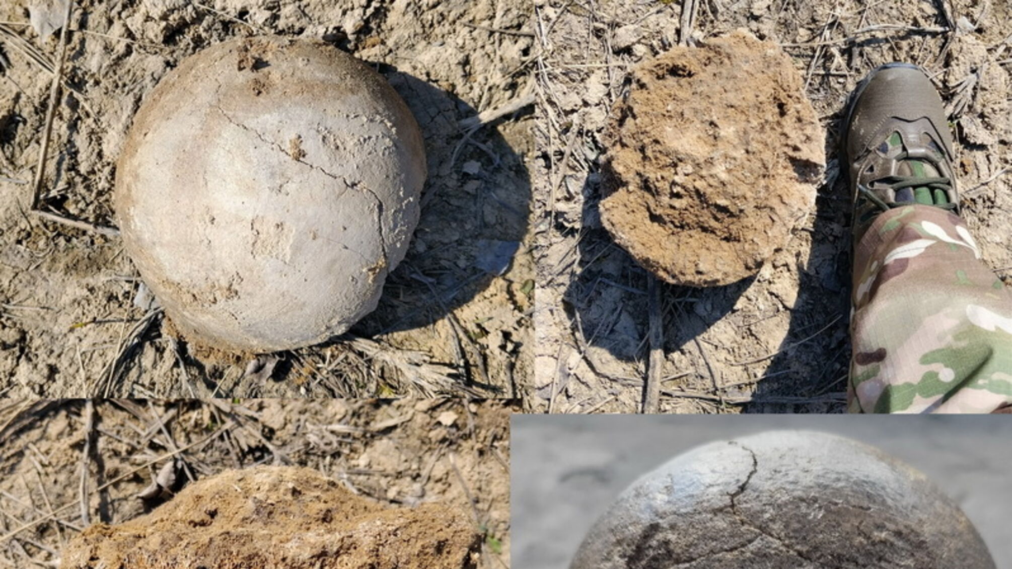 Кости мамонта 25 тысяч лет: в Киевской области военные нашли исторический артефакт