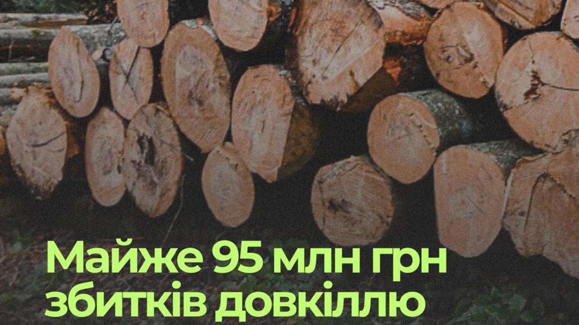 Незаконні рубки у заповідниках та заказниках: деталі гучних проваджень