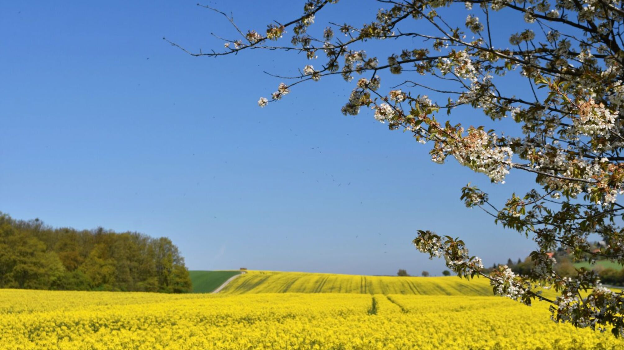 Кто празднует день ангела 27 апреля и как поздравить именинников