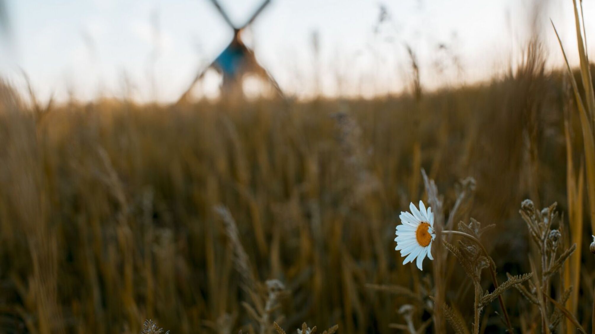 Іменини 2 квітня: історія та привітання для іменинників