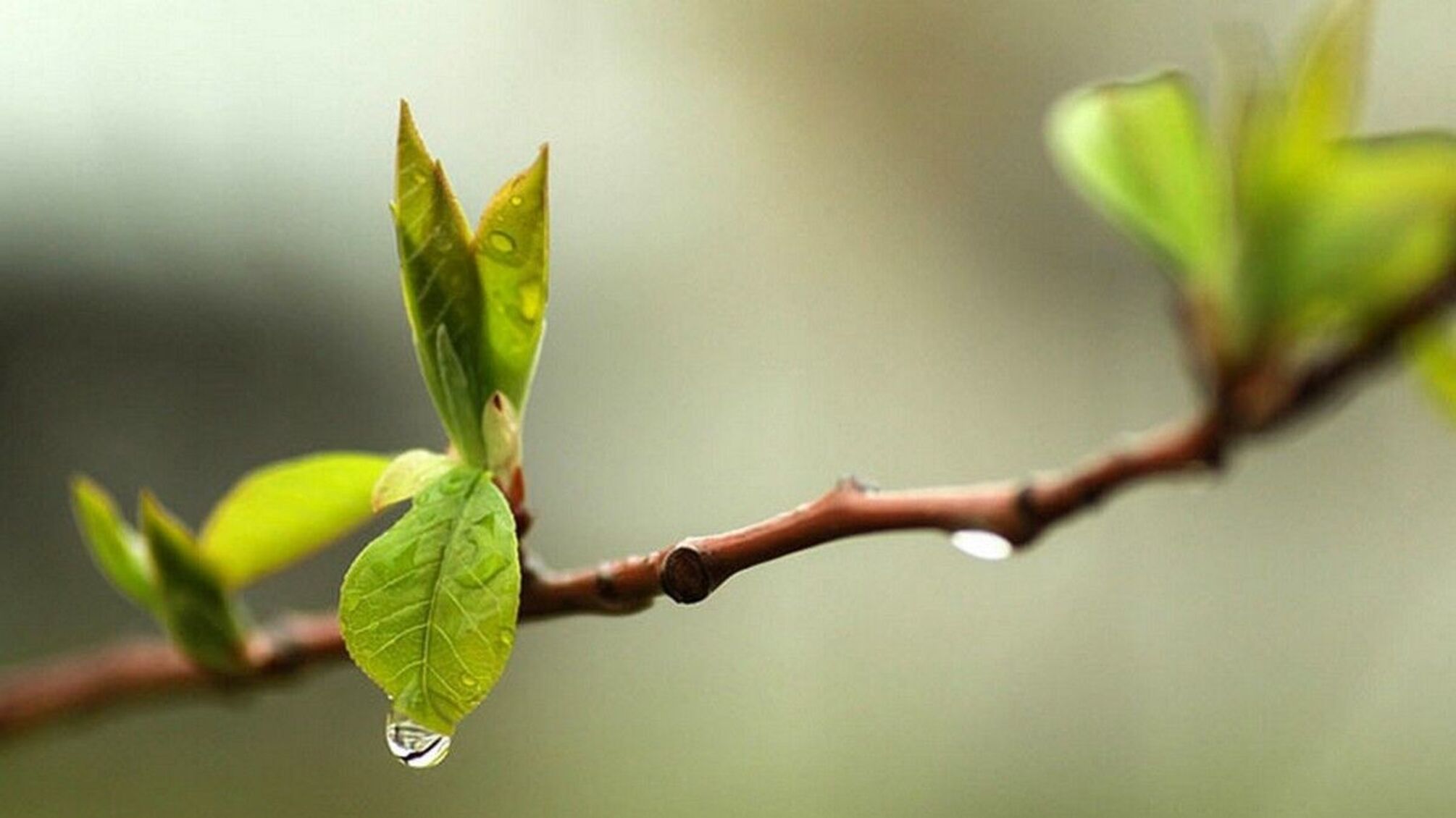 Продолжаются ли дожди: какой будет погода в Украине сегодня