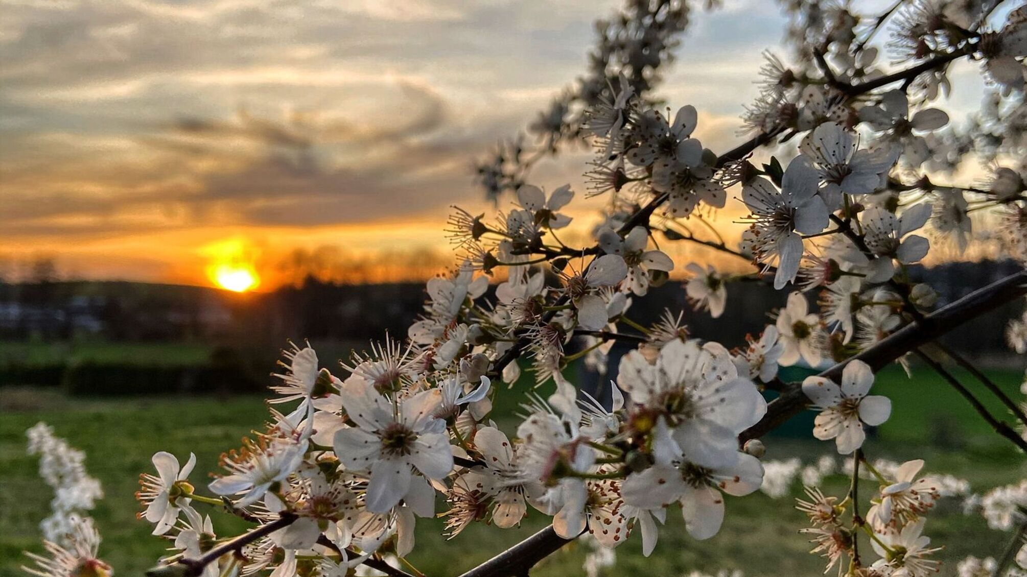 Зіткнення циклонів і антициклон Quirin: коли в Україні остаточно потепліє