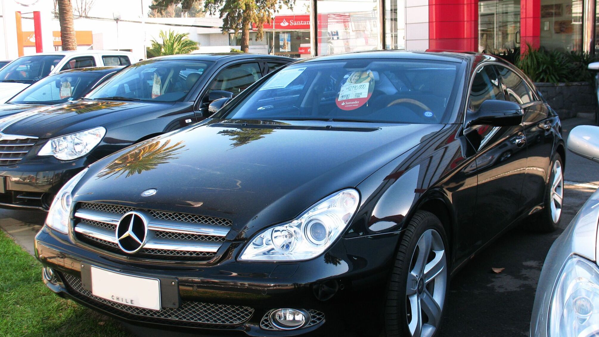 8,5 тисяч штрафу за фейковий техпаспорт: житель Львівщини підробив документи на авто у Photoshop