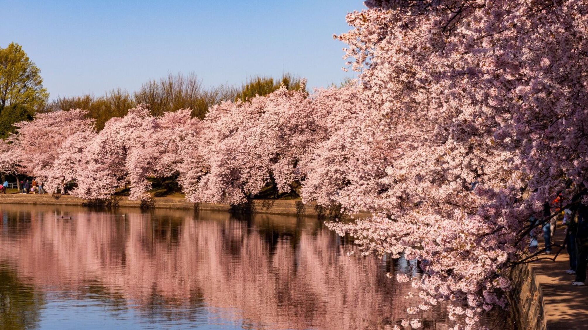 Іменини 16 квітня: привітання для Леоніда, Михайла та інших