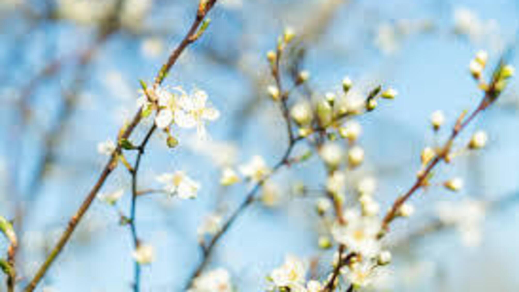 'Роскошное тепло': синоптикиня рассказала, какой будет погода в Украине 16 апреля