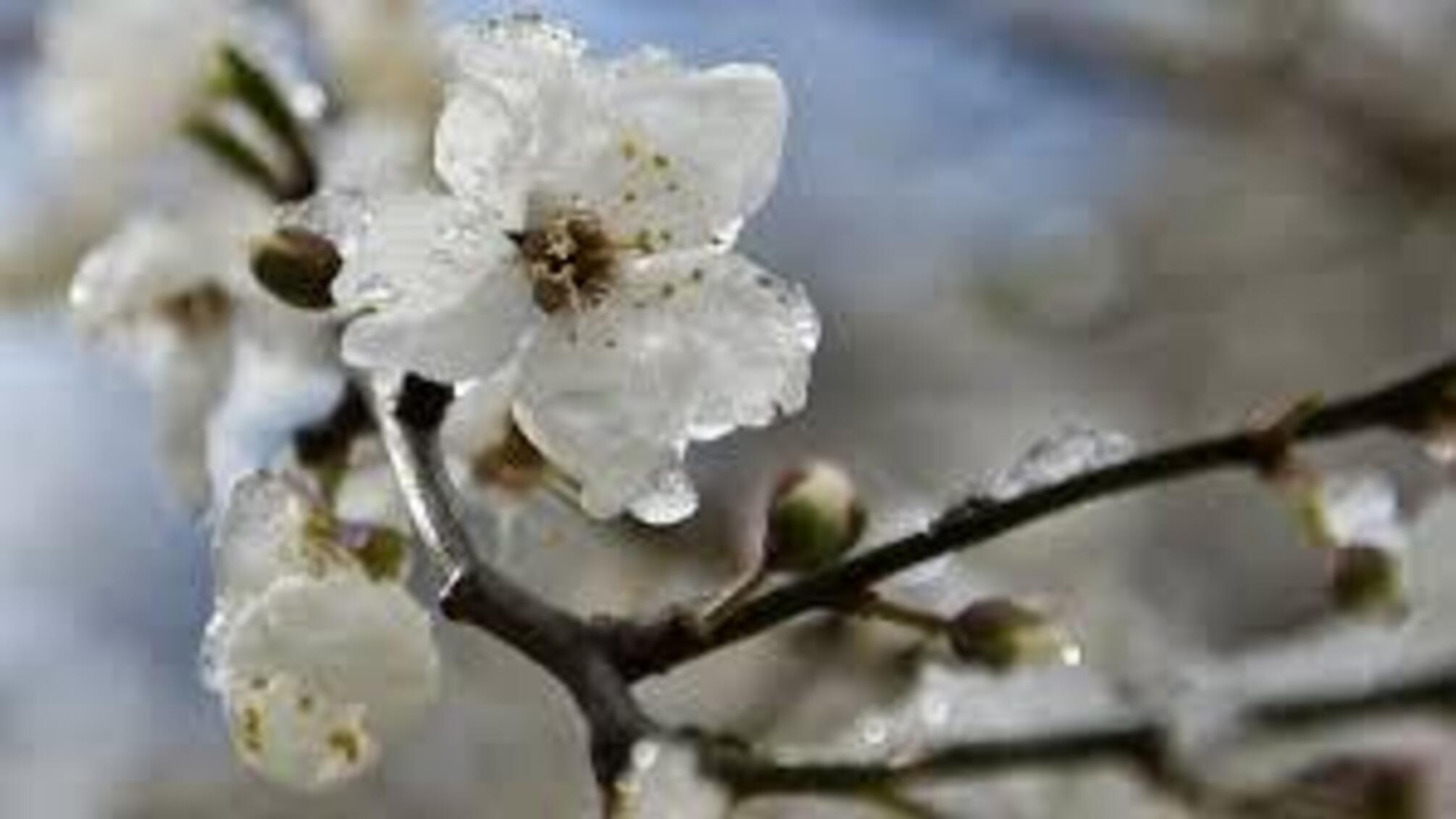 Чи прийде довгоочікуване тепло: якою буде погода в Україні сьогодні