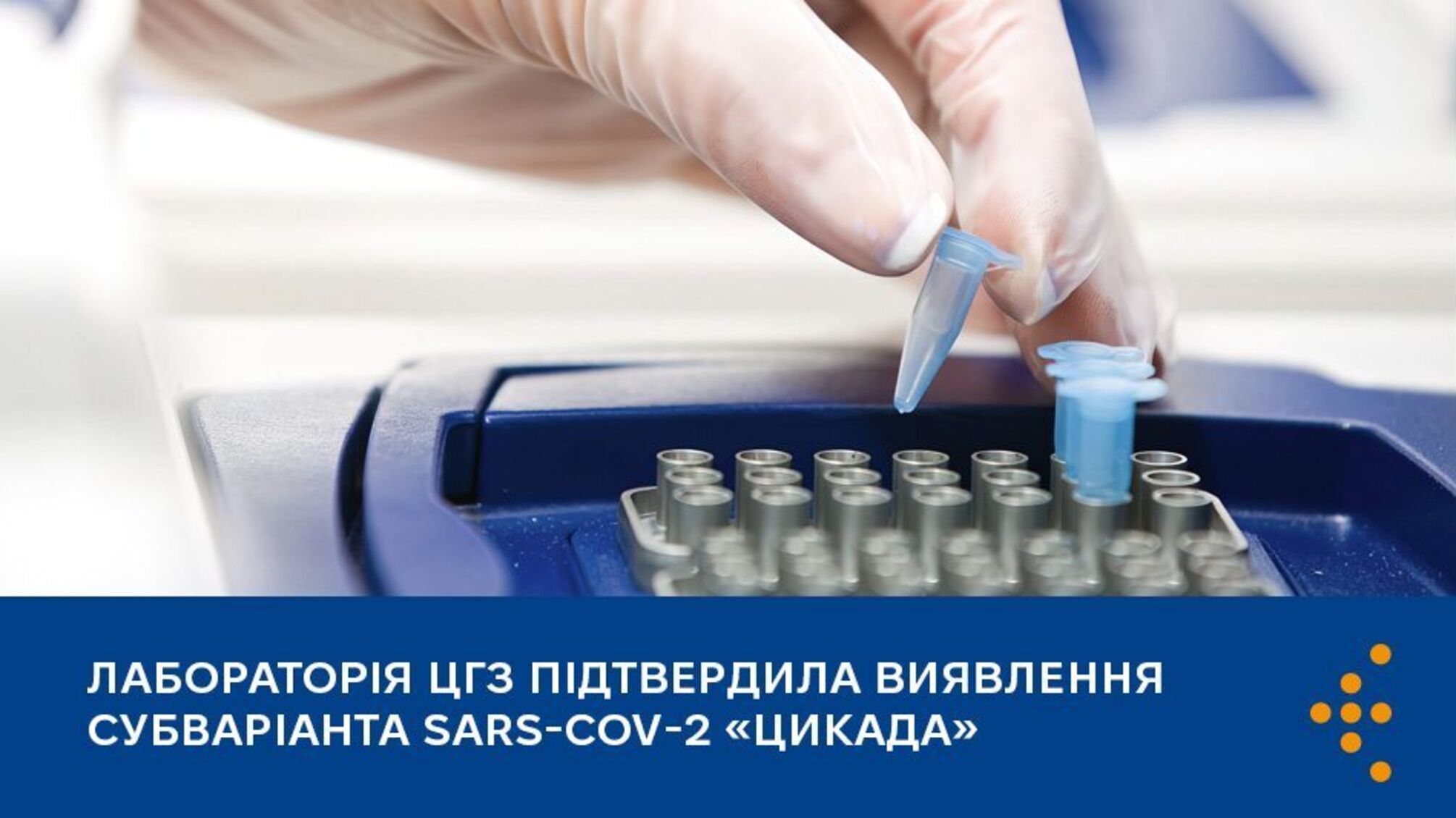  В Україні вперше виявили субваріант COVID-19 'Цикада' - МОЗ