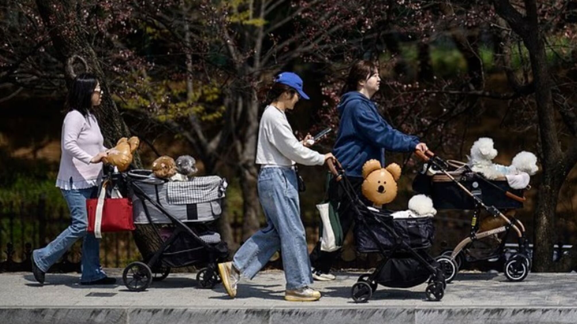 Южная Корея на грани демографического кризиса: рекордное падение рождаемости