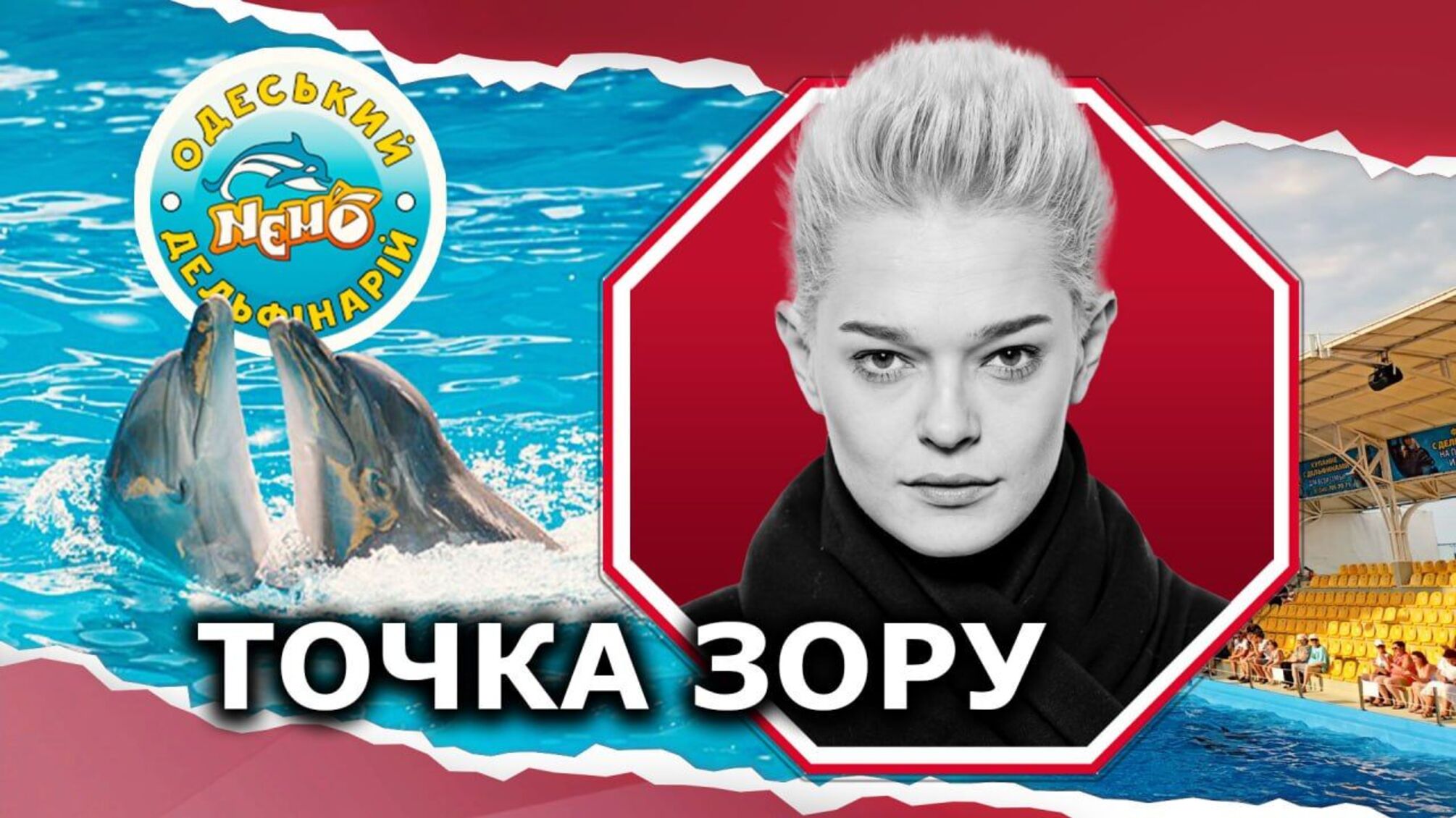 Незаконний вилов дельфінів у Тузлівських лиманах та легалізація їх походження через дельфінарій 'Немо' в Одесі (частина 2)