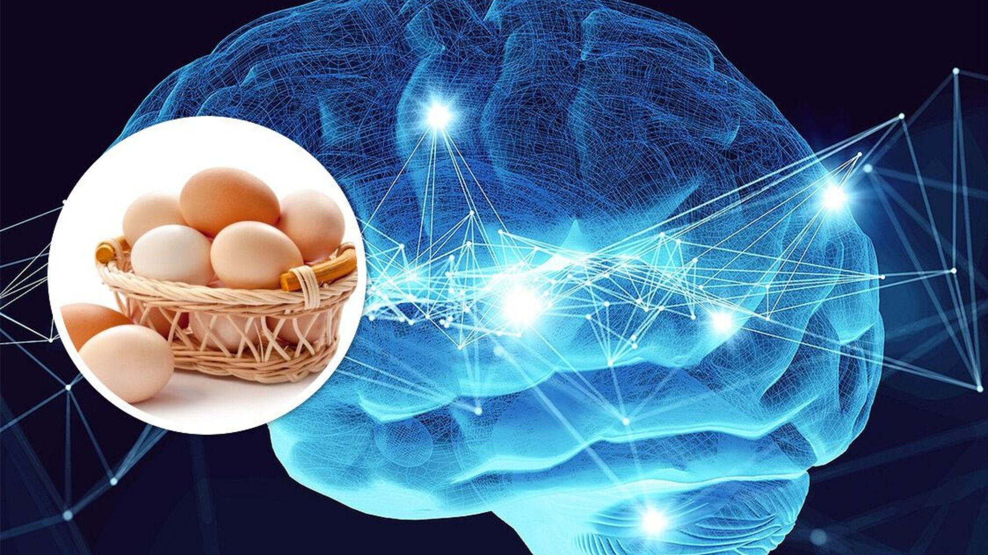 Яйця можуть знизити ризик Альцгеймера на чверть - нове дослідження