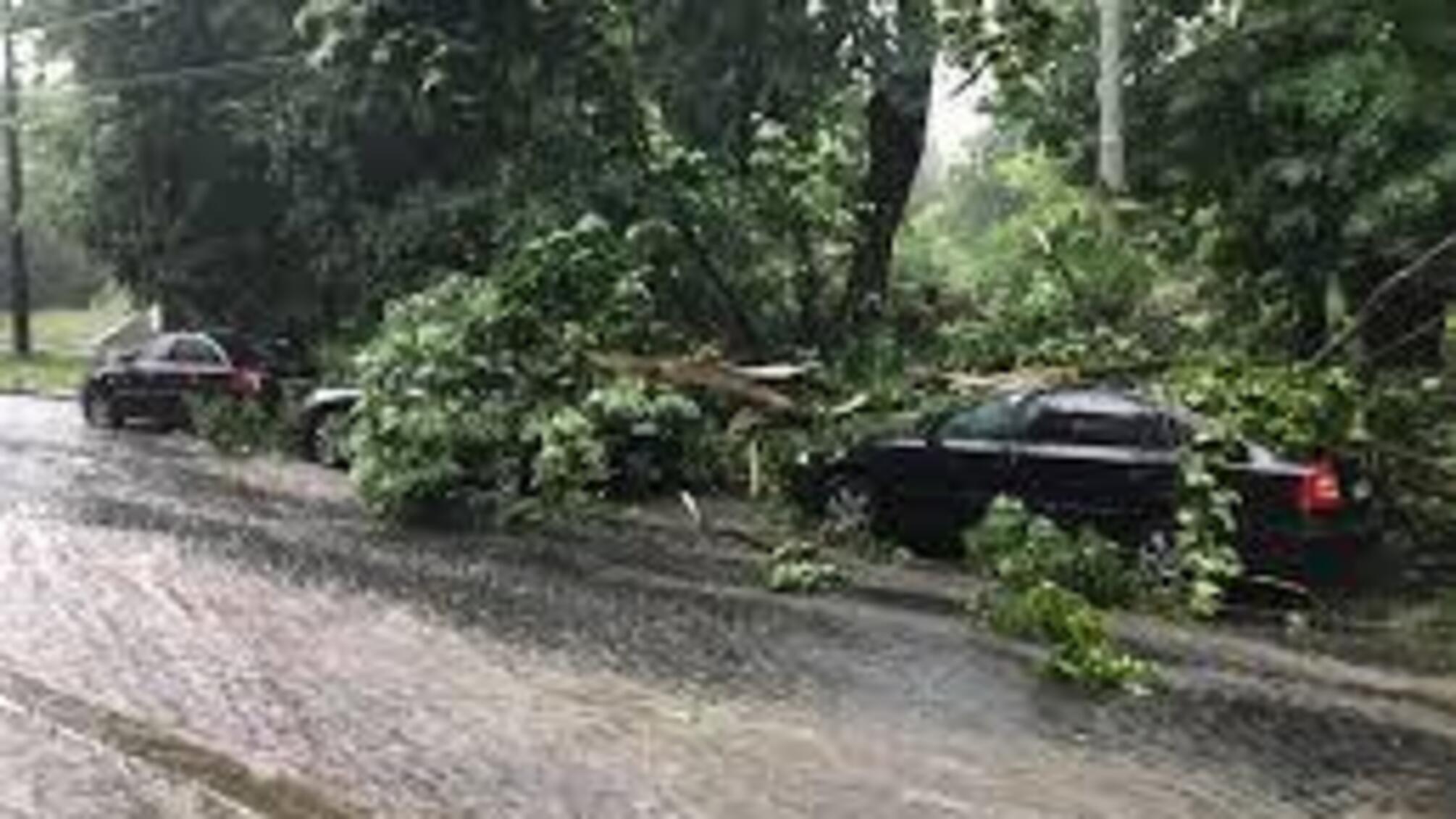 Україну накрив буревій: вітер зриває дахи, валить дерева і трощить зупинки