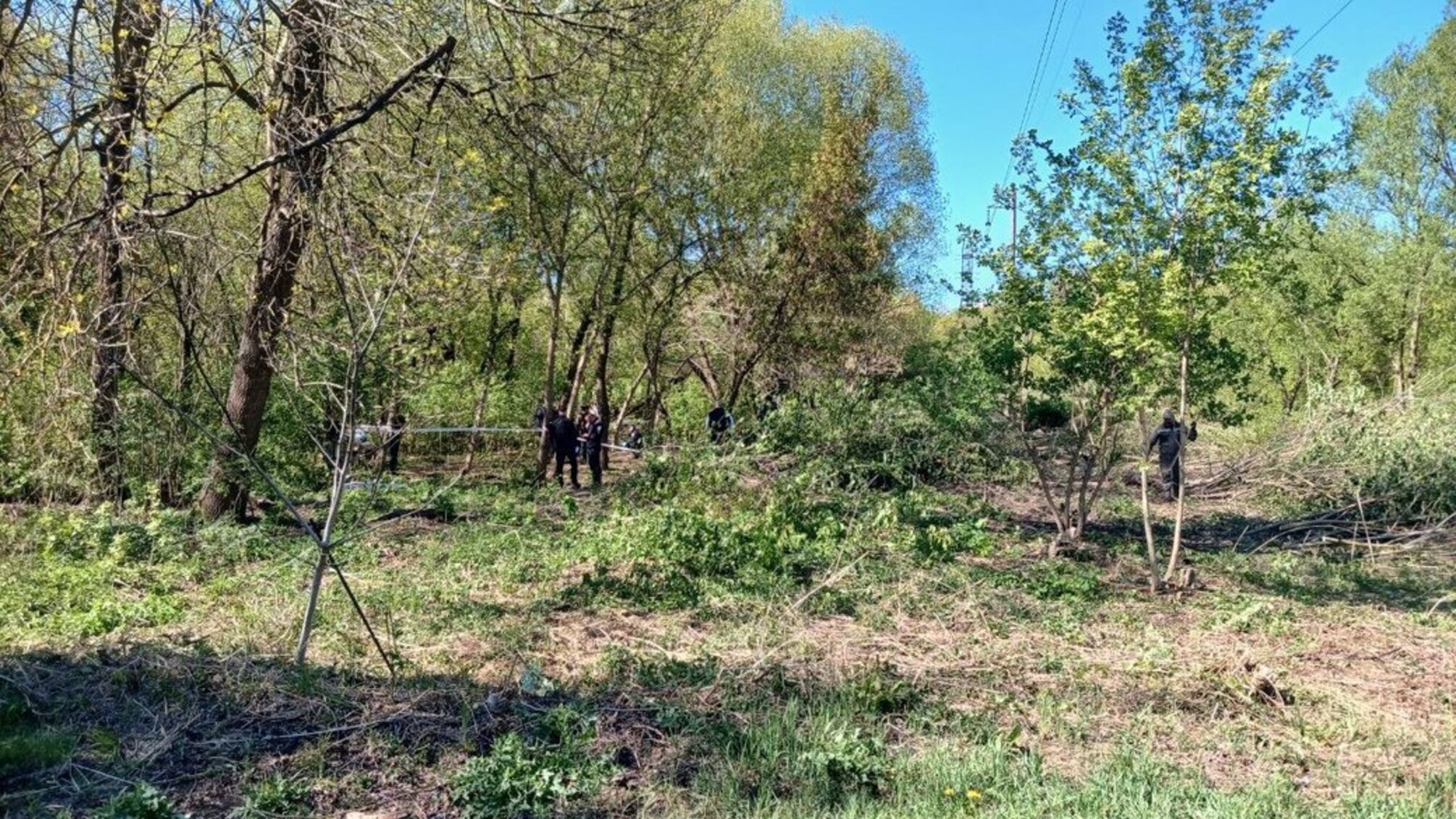 Во Львове в парке обнаружили тело младенца