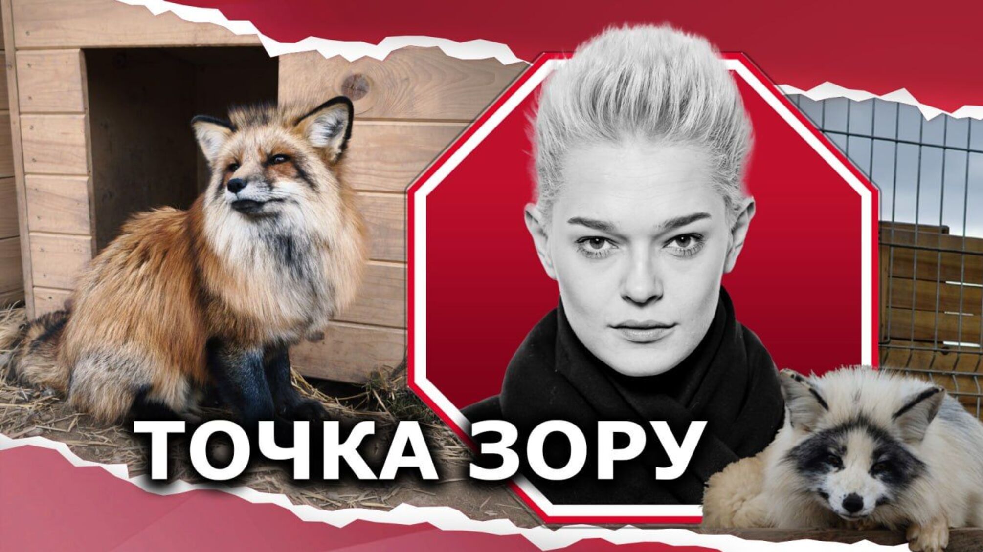 Лисы, которых не должно быть или играя в бога, мы противоречим природе