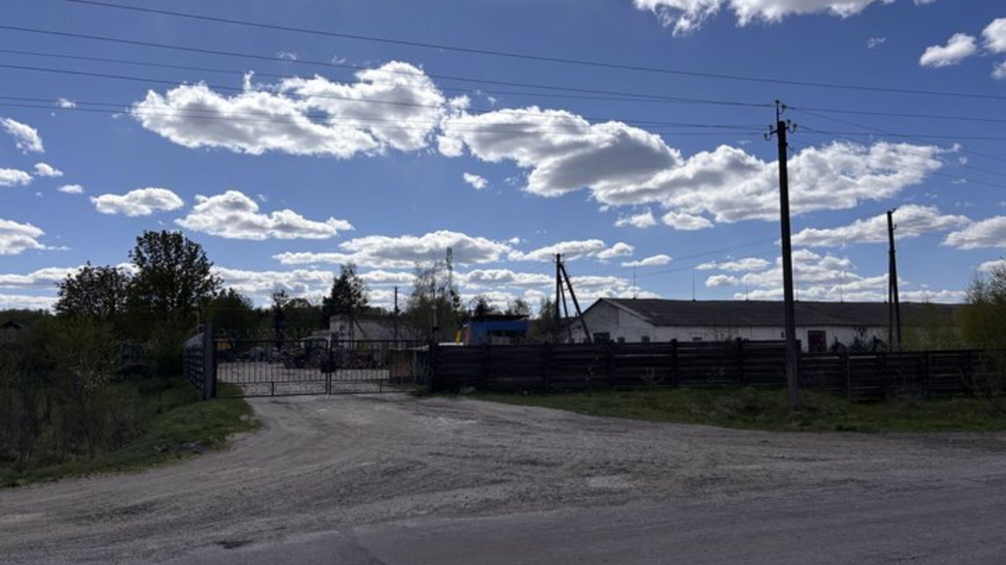 Скандал на Житомирщині: загибель корів і підозри у приховуванні фактів на держпідприємстві 'Рихальське'