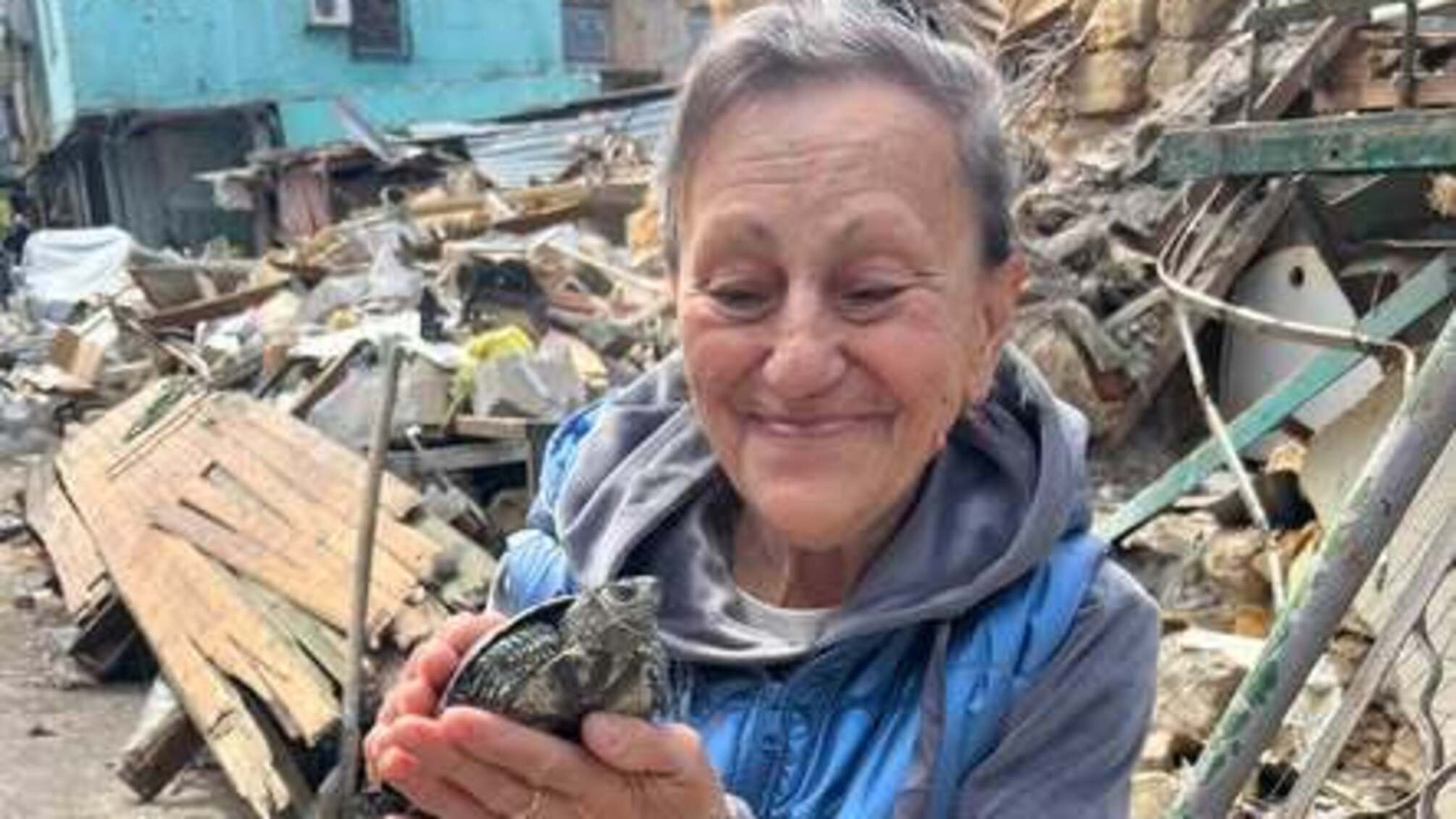 Чудо среди руин: в Одессе из-под завалов после обстрела спасли черепаху, выжившую более 5 дней