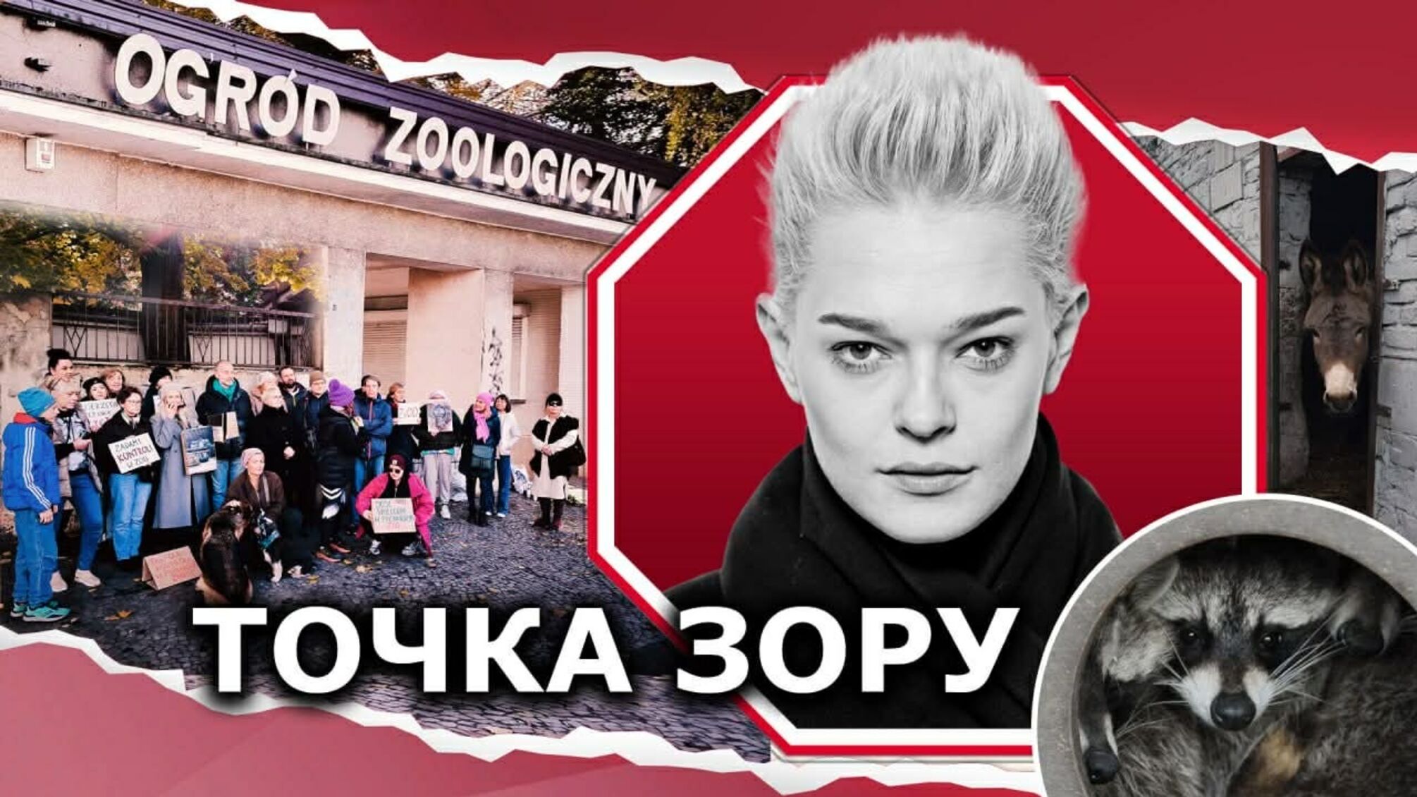 Суд над зоозащитницей: в Польше рассматривают дело Евы Зграбчинской