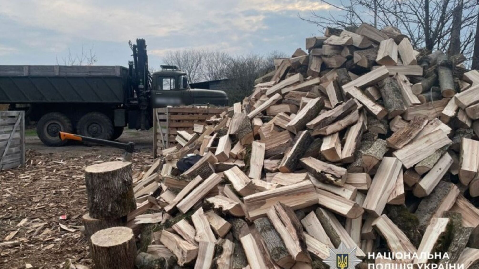 Поліція Полтавщини викрила незаконну порубку дерев на 160 тис. грн
