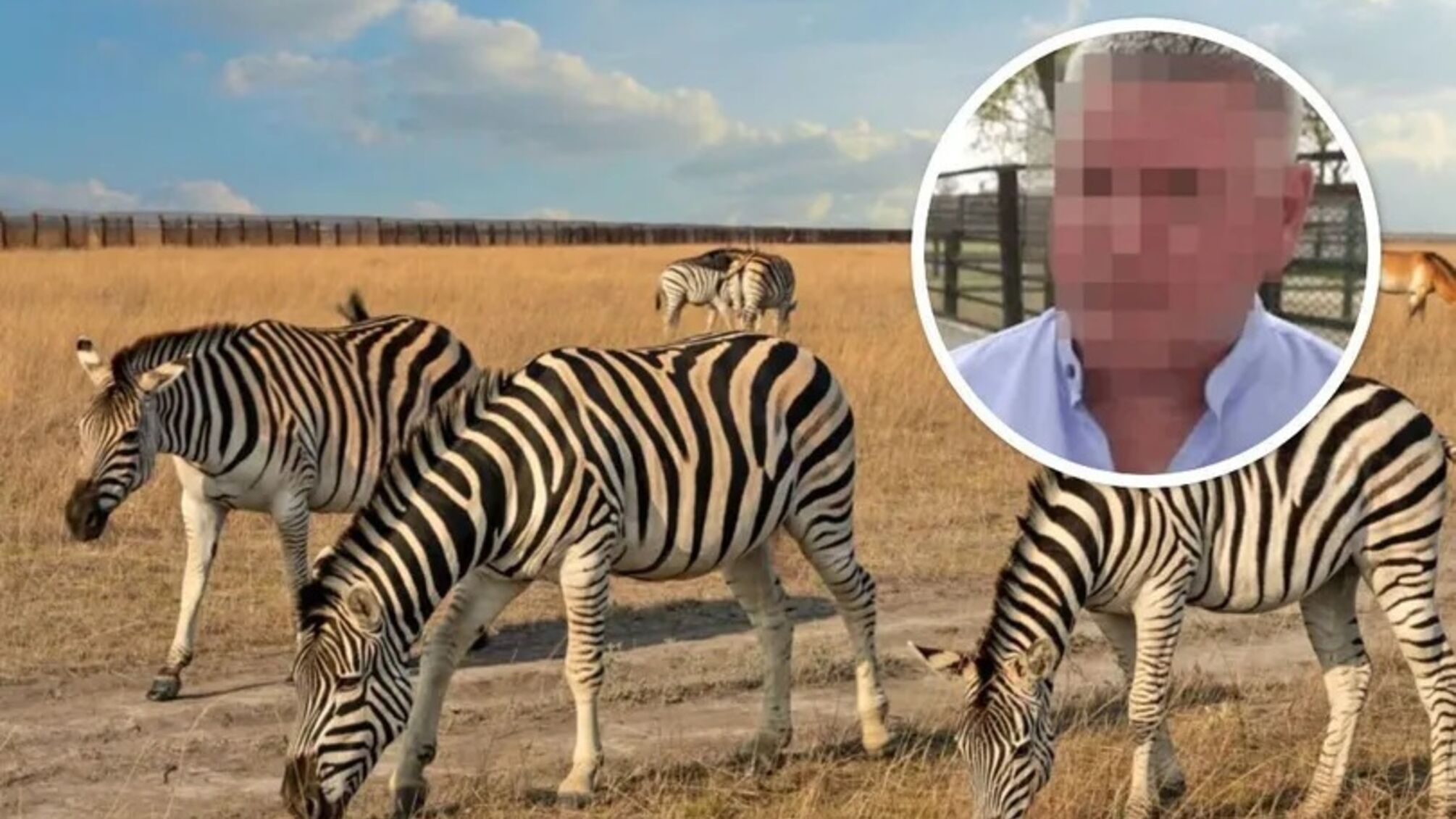 В Украине впервые за время полномасштабной войны вынесен приговор за военное преступление против природно-заповедного фонда