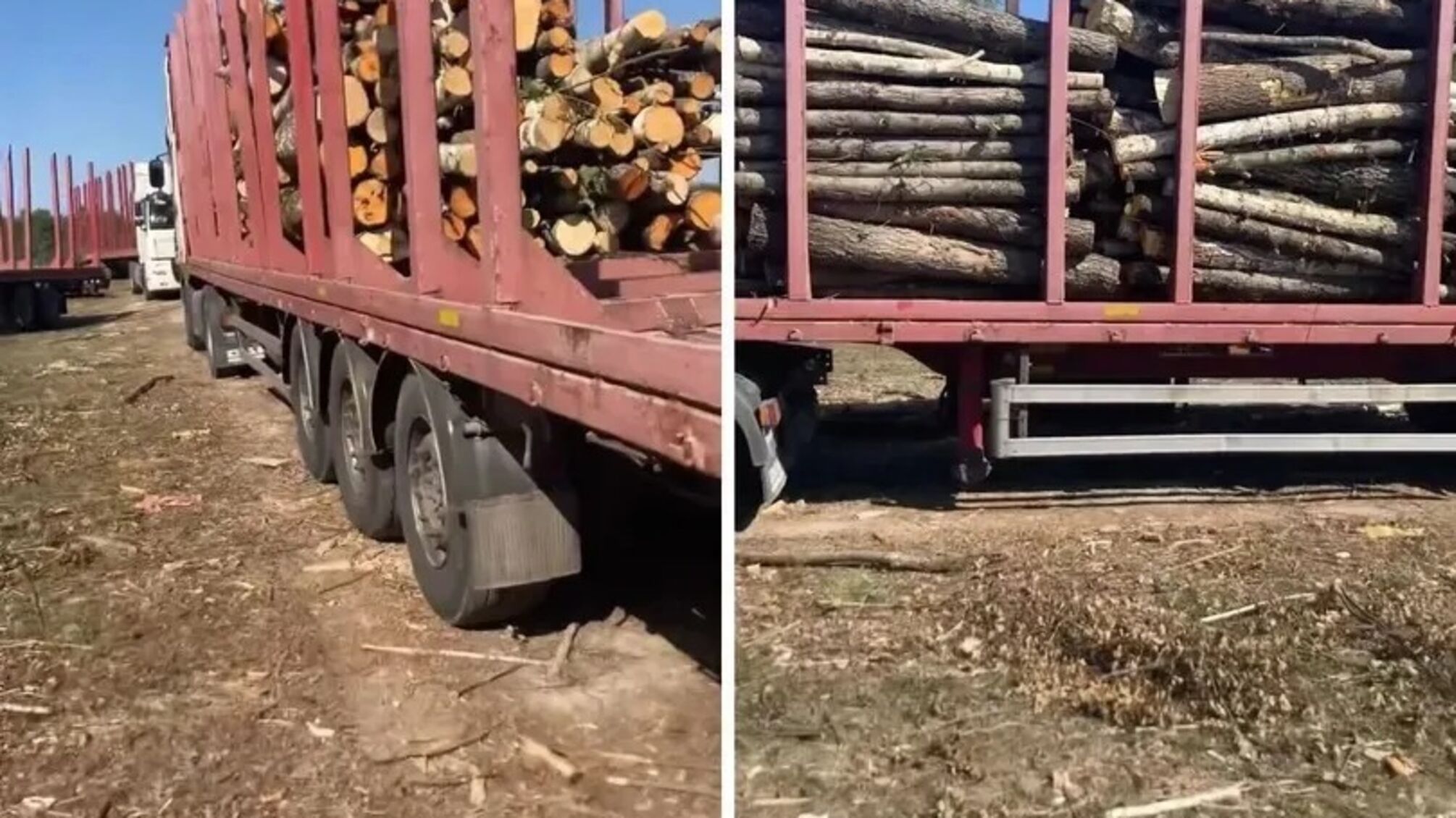 'З Гулеватим я дітей не хрестив': бізнесмен Бабій спростовує причетність до ймовірних 'чорних' рубок на Житомирщині