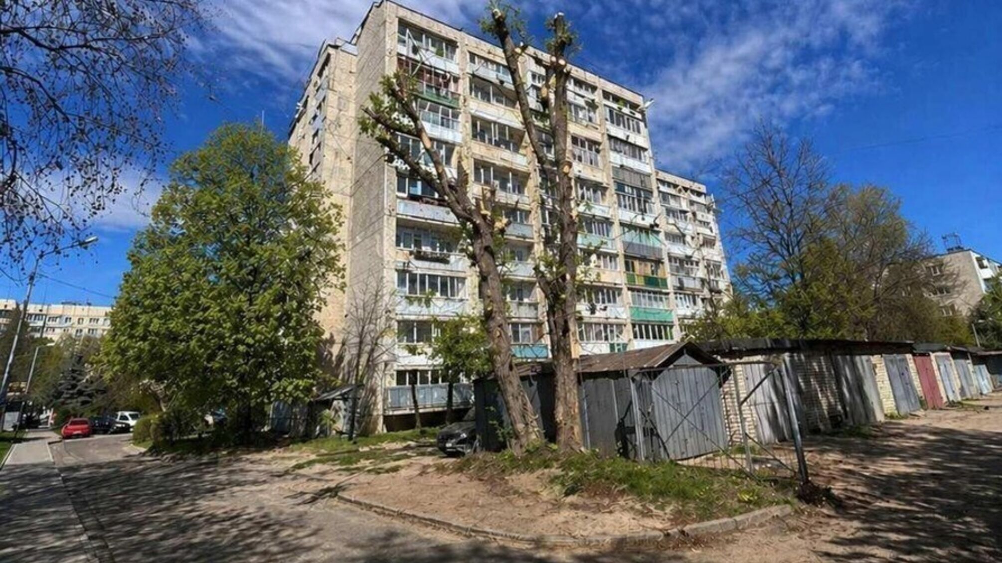 ШІ замість звіту: у Львові чиновницю покарали за фейкове фото обрізки дерева