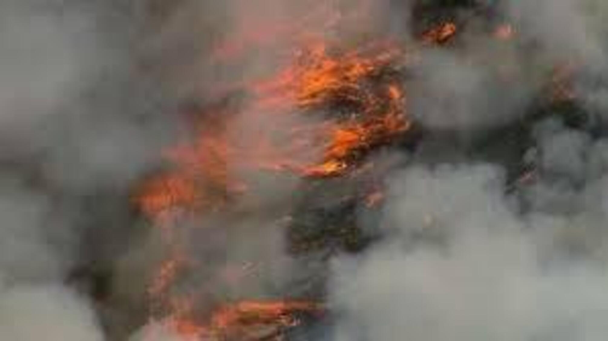У Польщі масштабна лісова пожежа: загинув пілот гелікоптера під час гасіння