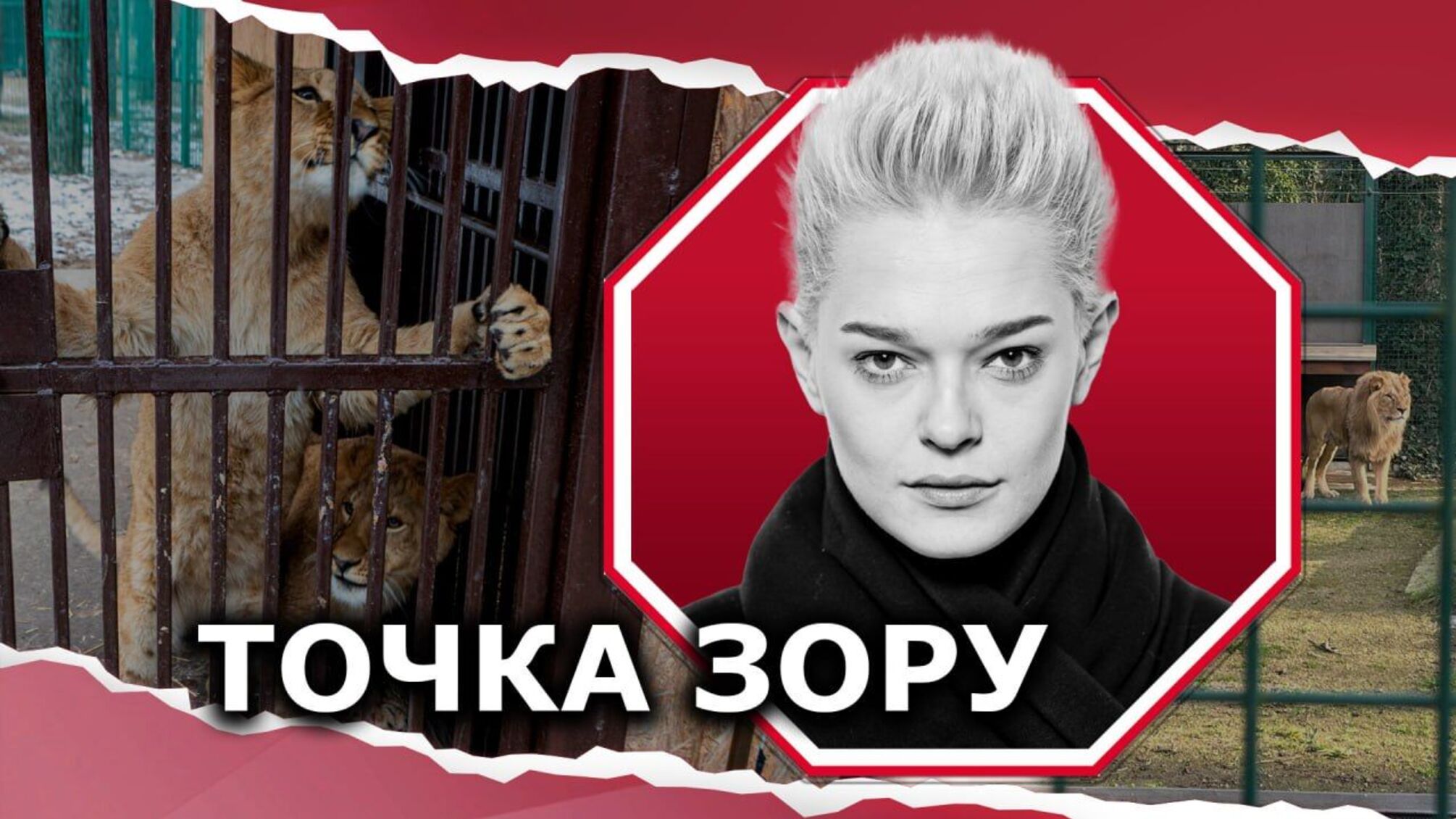 'Піратство' на мільйони доларів: сучасні браконьєри та їхні функції