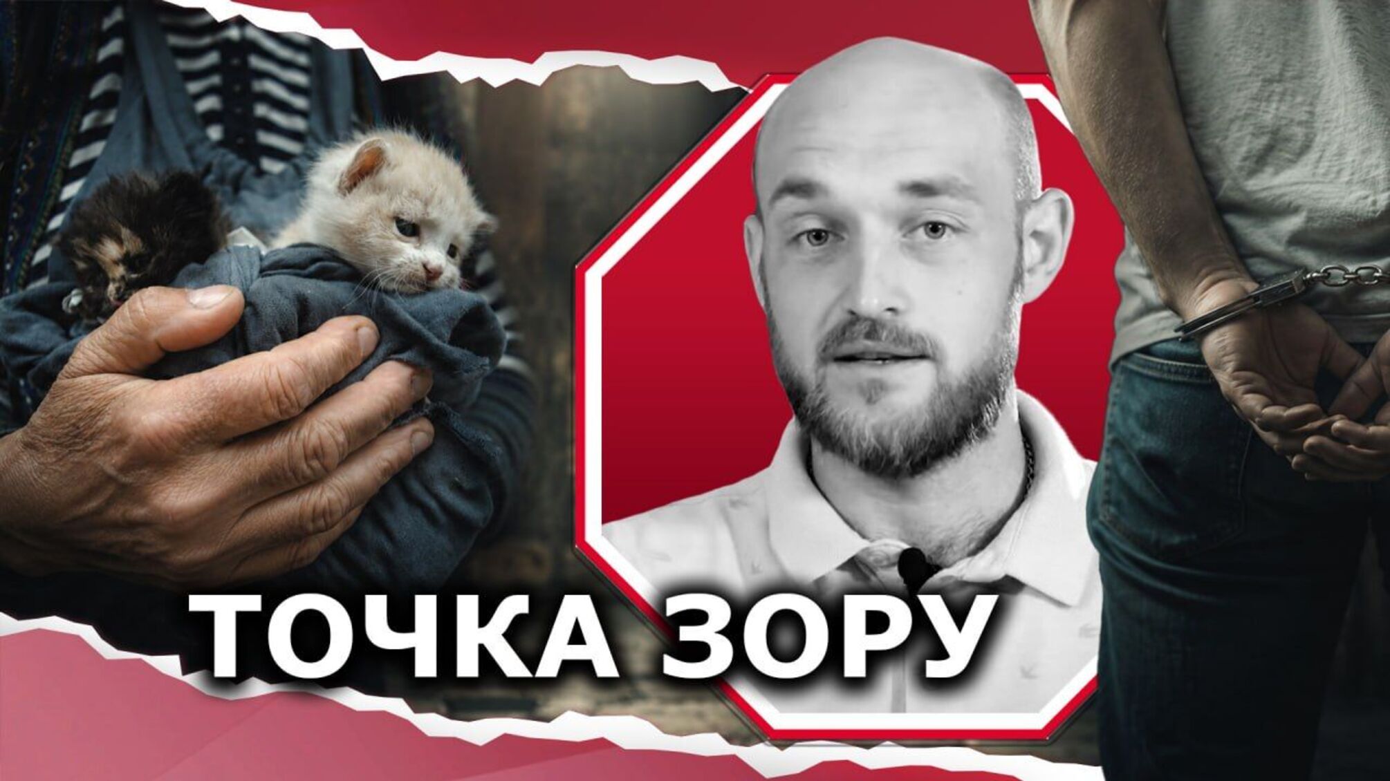 Сигнал для общества: почему принципиальная реакция полиции на издевательство над животными спасает не только котят