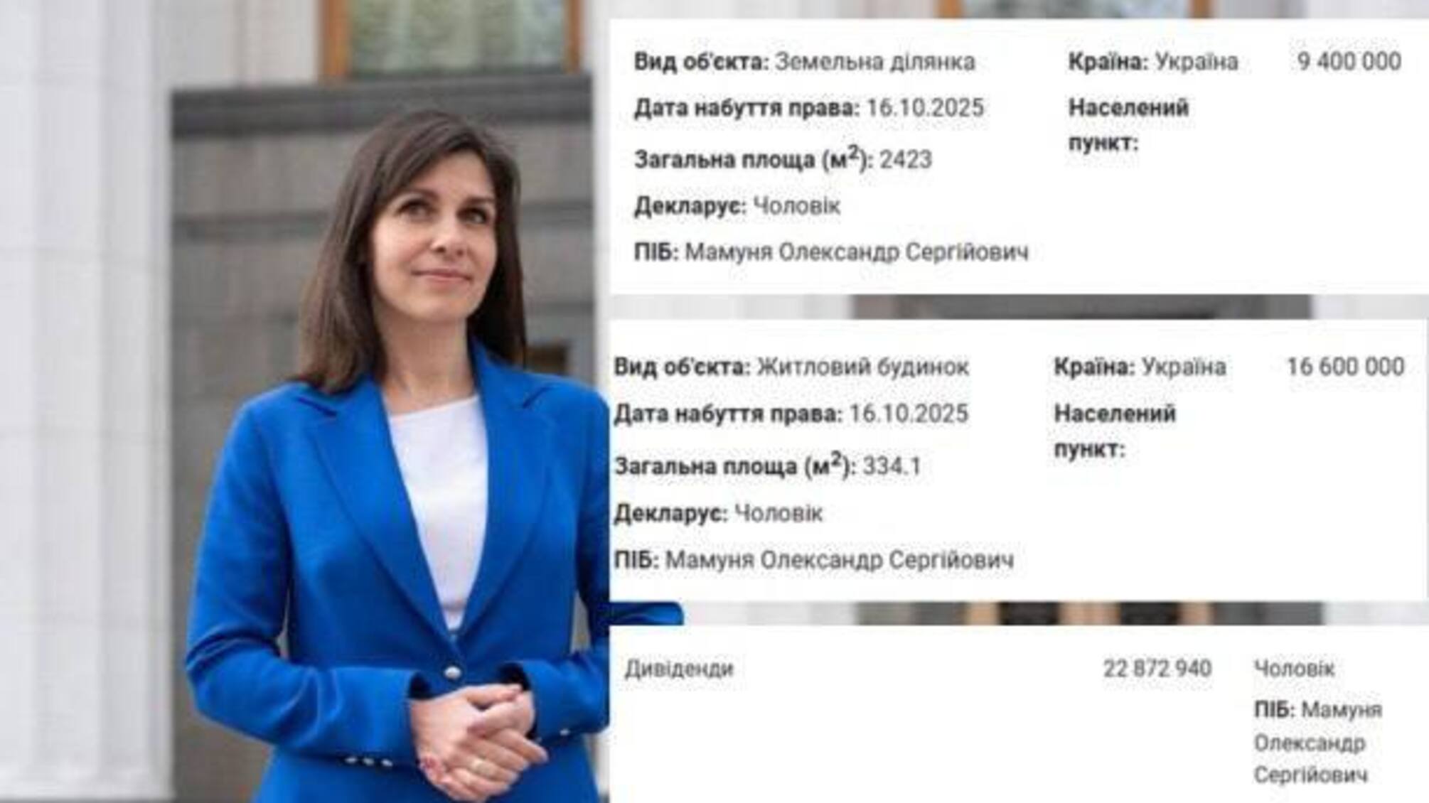 Депутат Киевсовета Виктория Пташник задекларировала дом за 16,6 млн грн и землю более чем на 9 млн