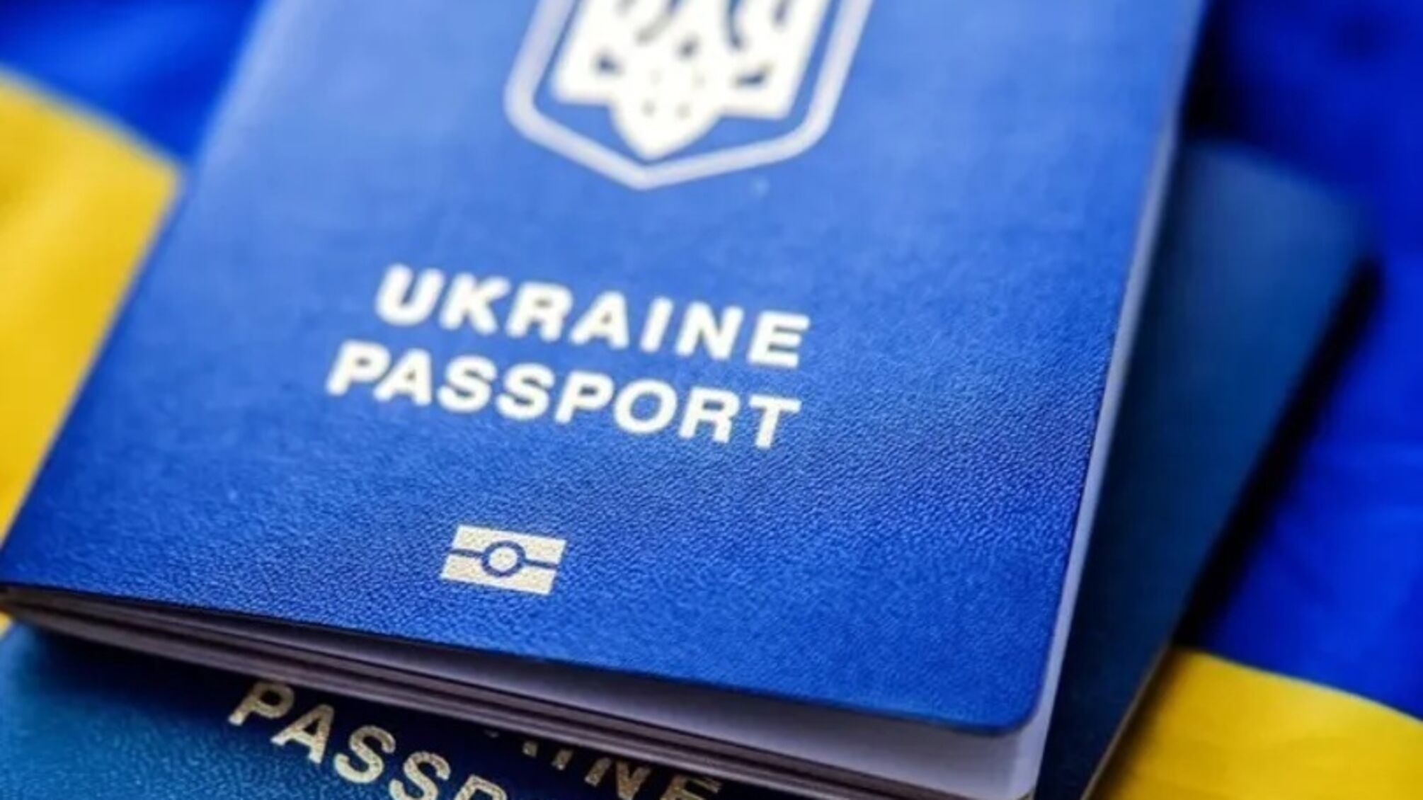 Выпустят ли вас за границу в 2026 году: как проверить свой статус перед поездкой
