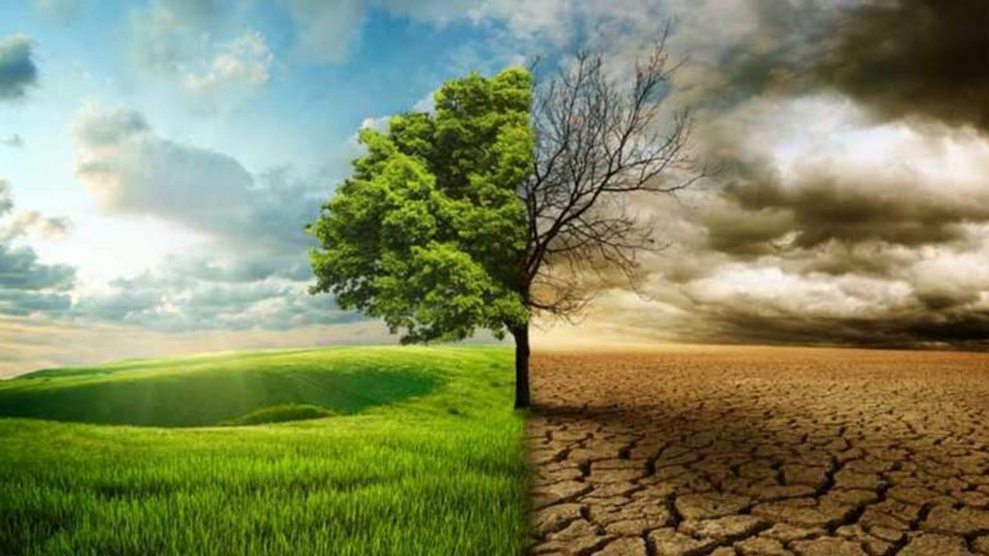 Європу накрила спека до +40°C: кліматологиня зробила попередження для України