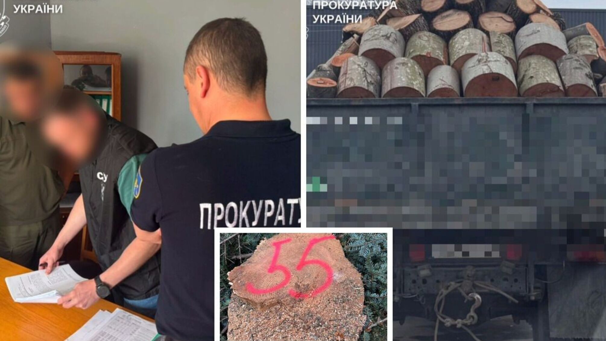 Масштабные незаконные рубки в Украине: разоблачены схемы более чем на 248 млн грн убытков