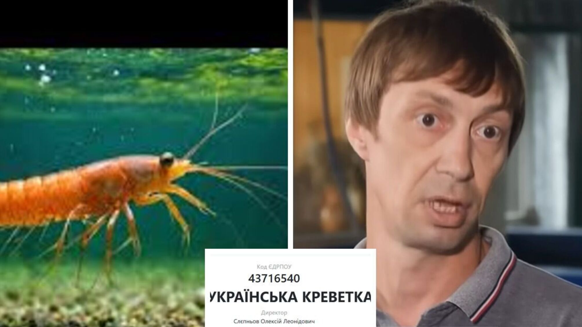 'Креветка Розенберга' или сыр в мышеловке? Как продают экзотику, стоящую горькие миллионы
