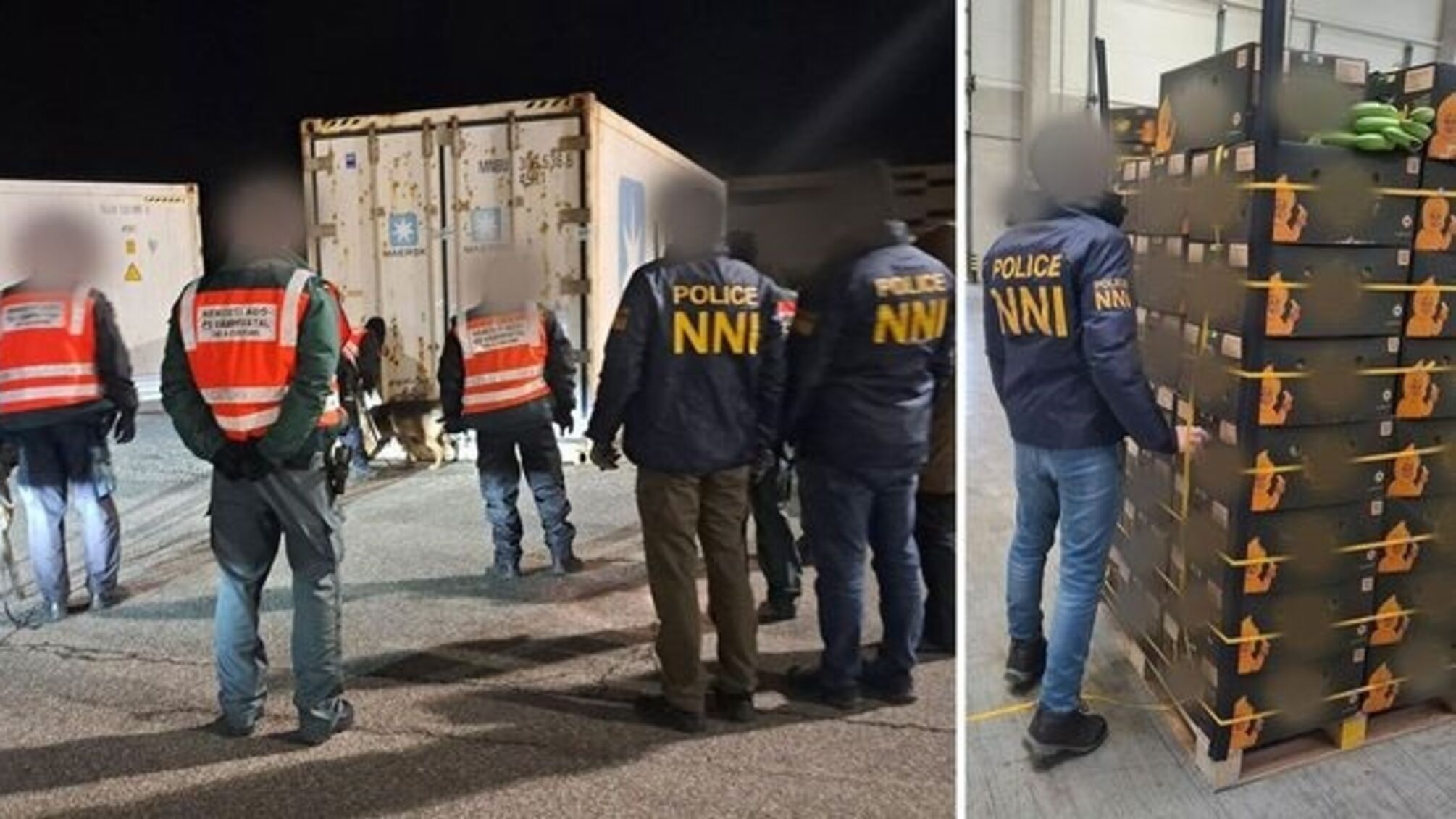 Угорщина вилучила рекордну партію кокаїну, заховану в бананах з Еквадору