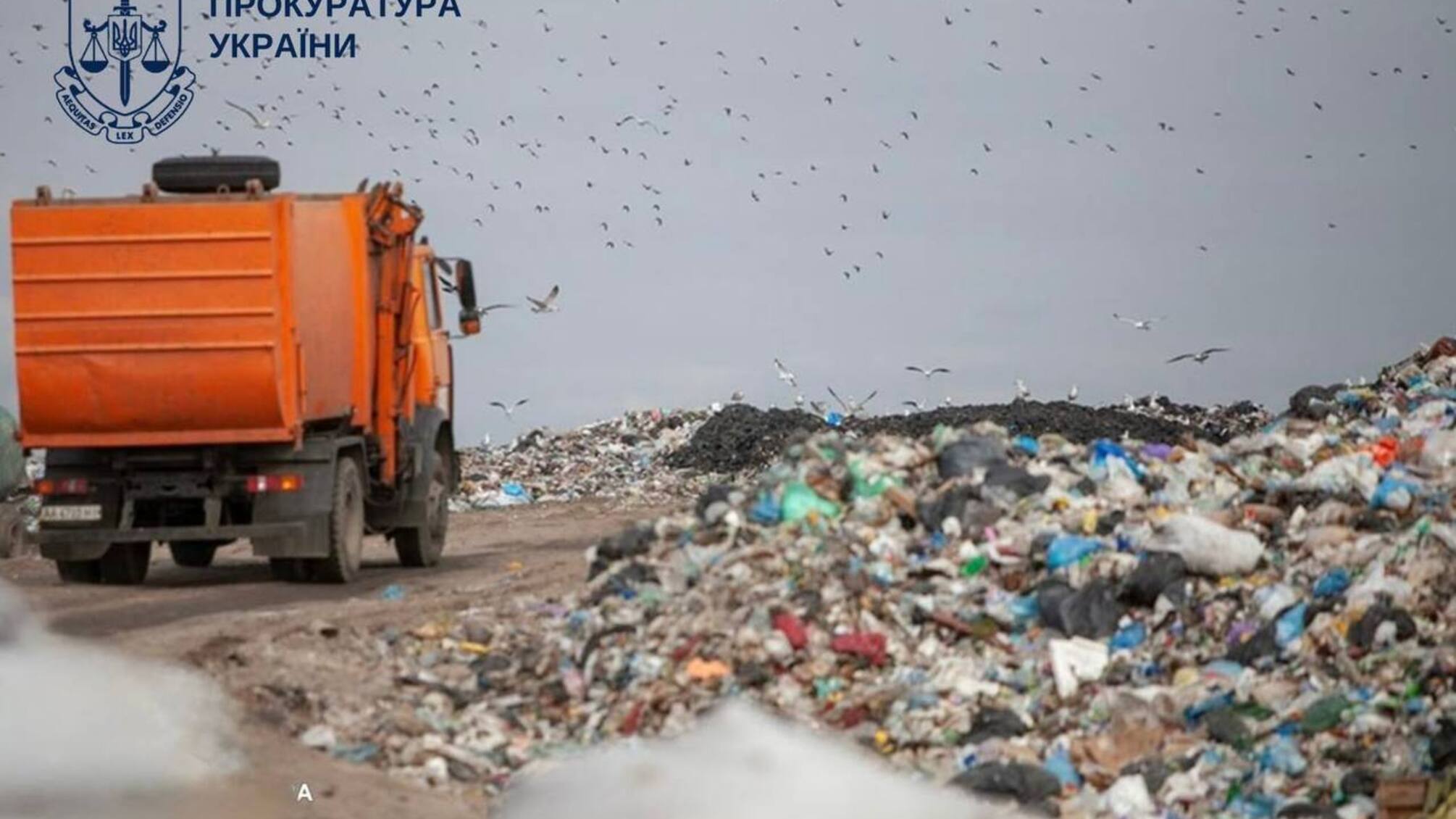 Приховали заборону на участь у тендерах: з компанії стягнуть понад 81 млн грн на користь держави