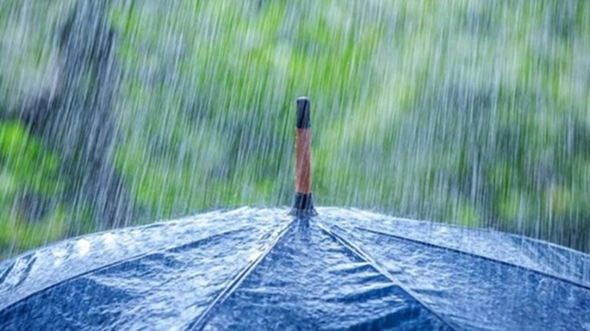 Від гроз до +35°: якою буде погода в Україні 13–19 липня