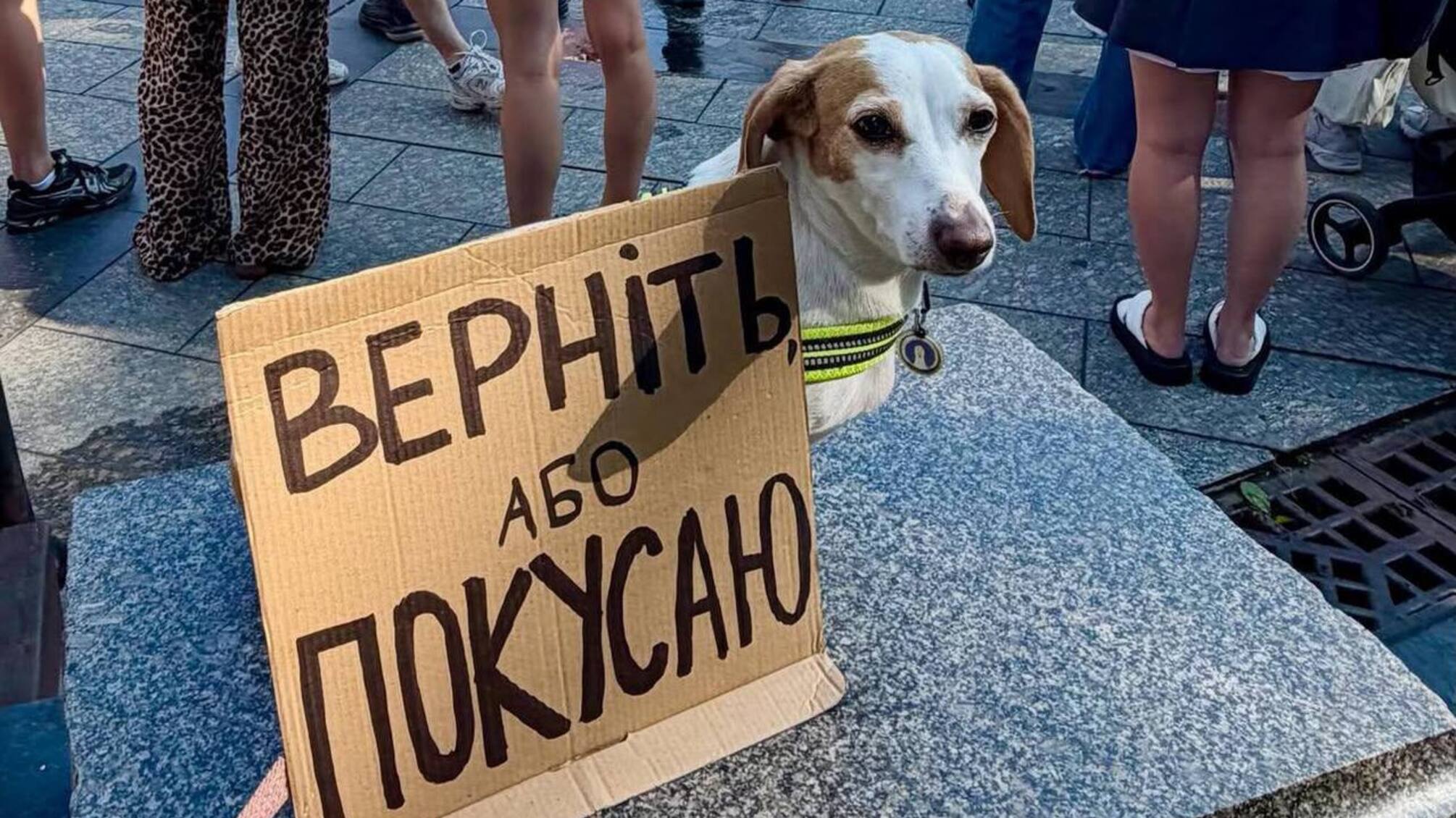 'Будемо виходити, доки нас не почують': у Києві та інших містах тривають протести через відставку Федорова