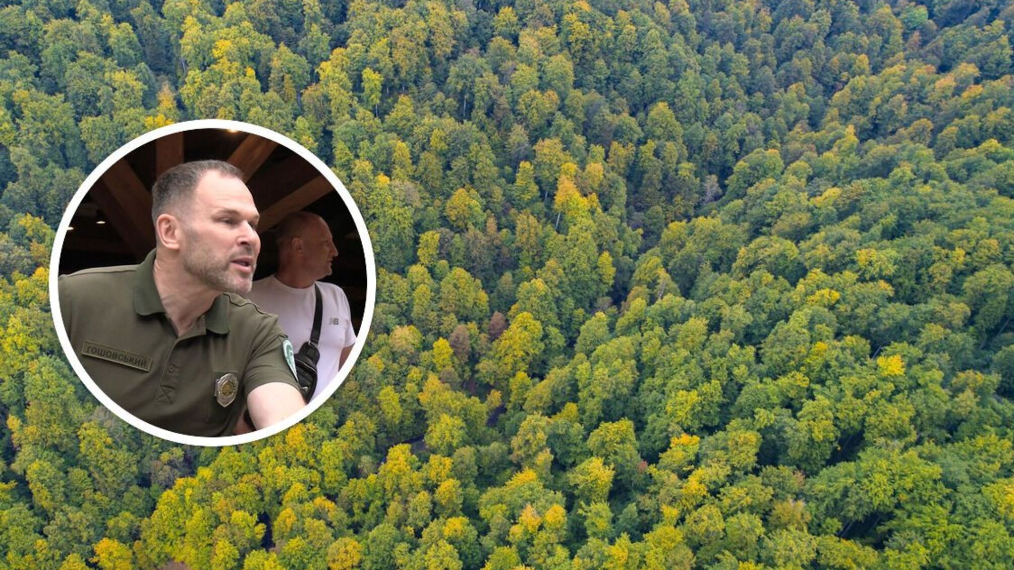 Карпатський нацпарк: чорні лісоруби завдали збитків майже на 5,8 мільйона гривень