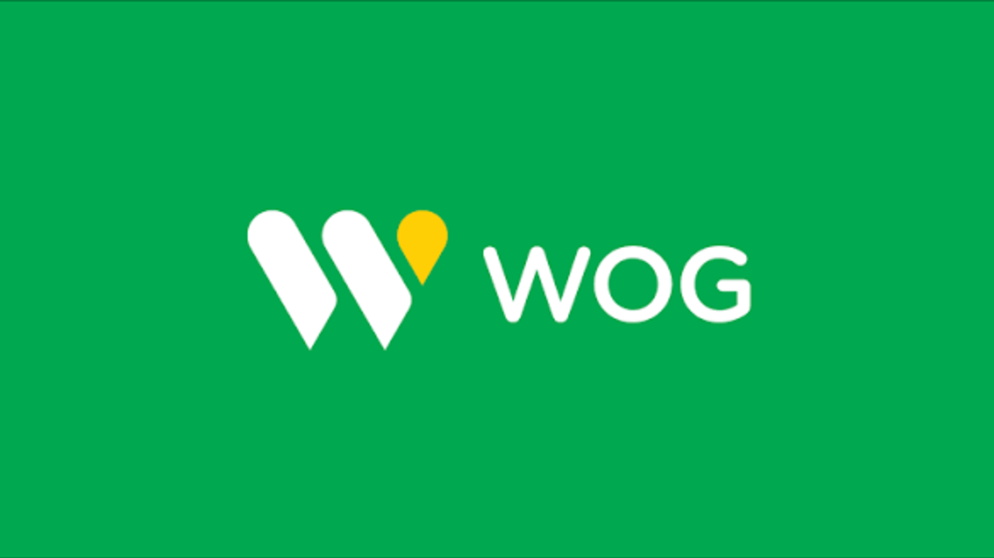 Воздушная тревога на АЗС: что нужно знать водителям и почему WOG изменила правила работы в семи регионах Украины