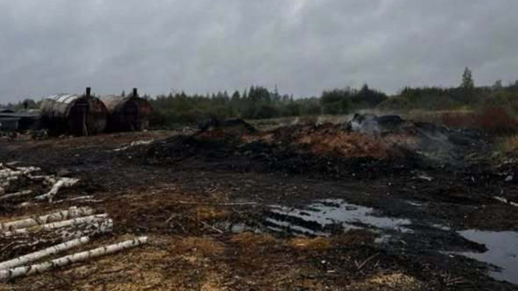 На Житомирщині викрили незаконне виробництво деревного вугілля: справу передали до суду